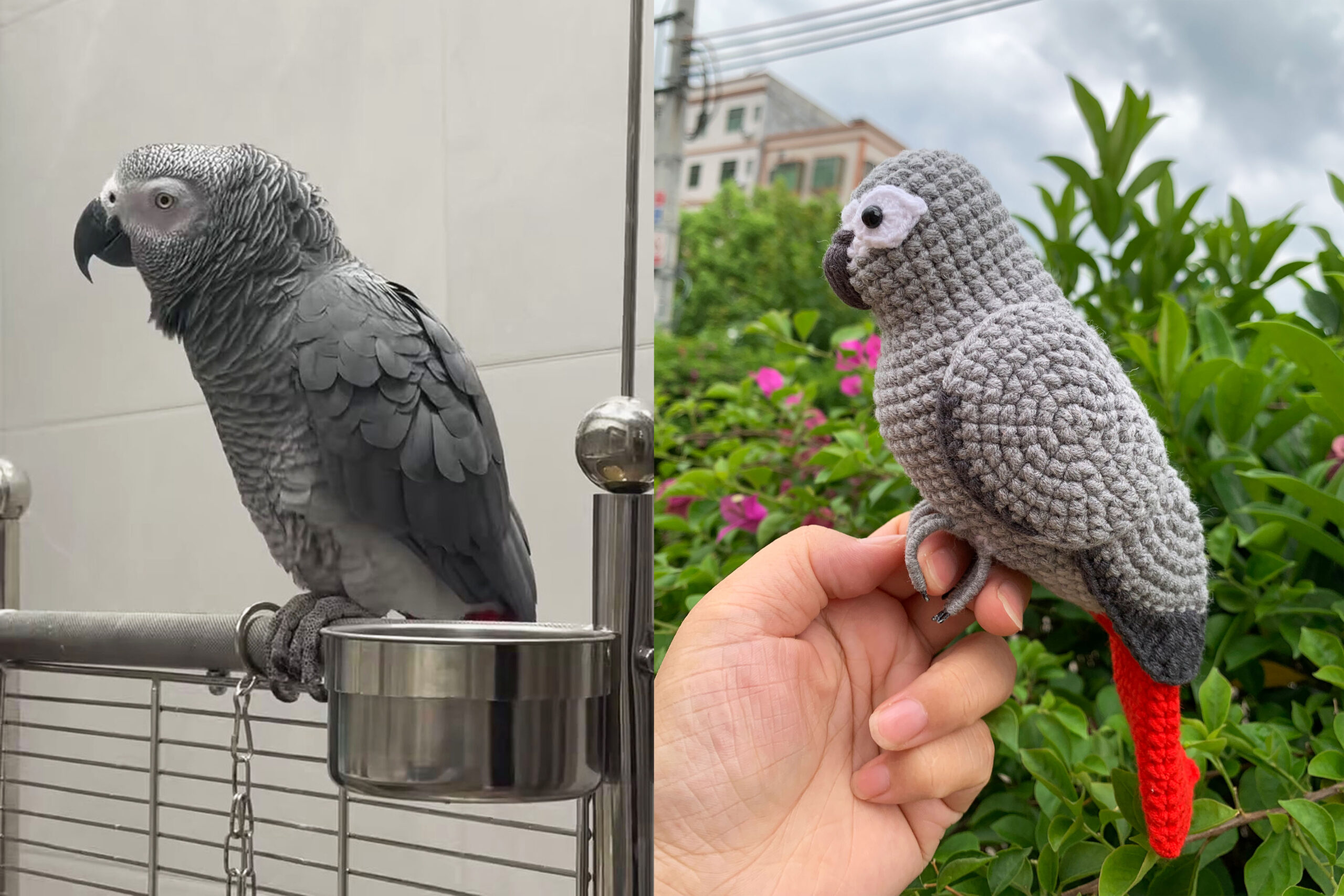 Custom African Grey Parrot Replica – Handmade Crochet Portrait from Photo, Small & Large Sizes - Image 2