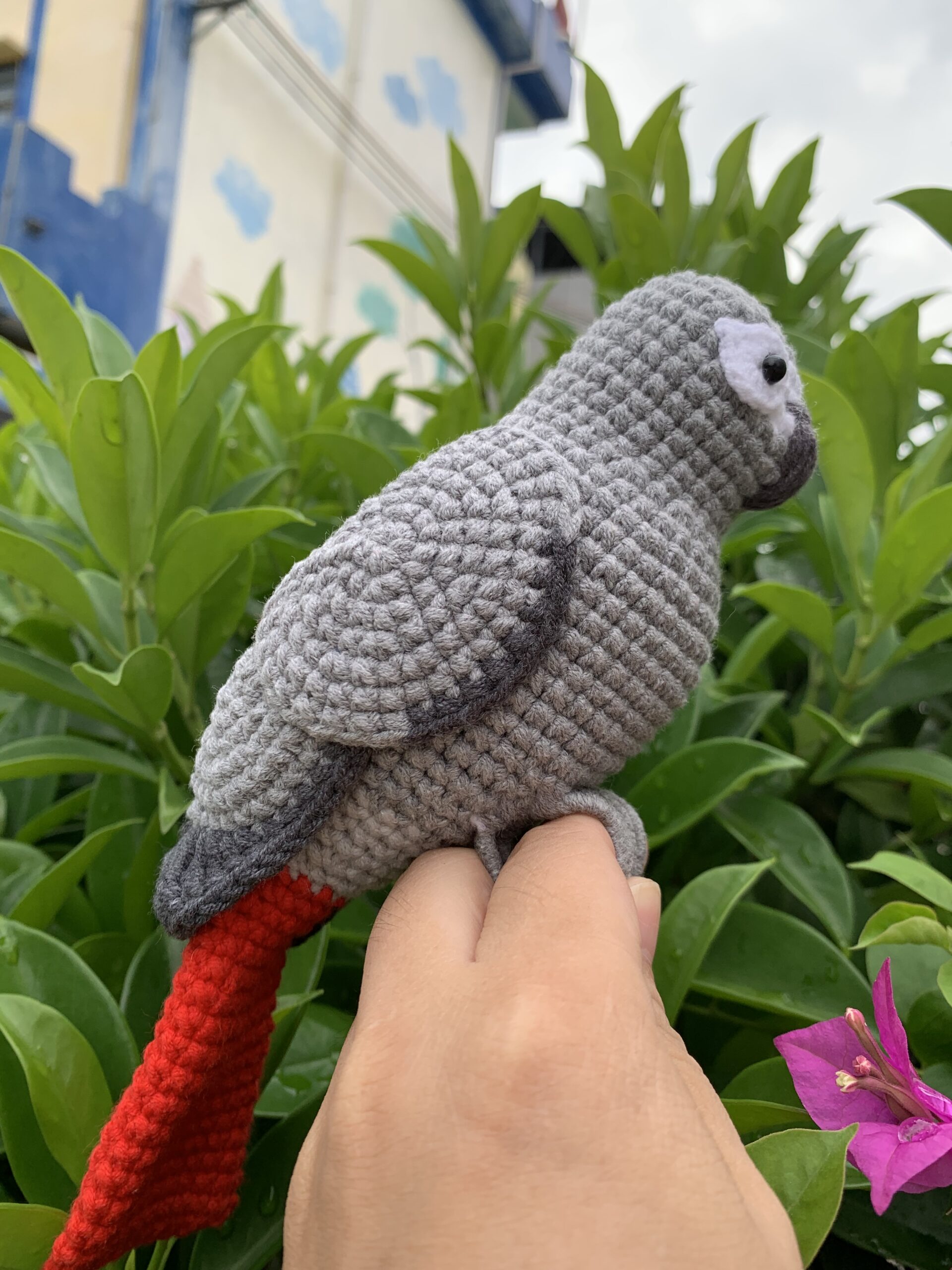 Custom African Grey Parrot Replica – Handmade Crochet Portrait from Photo, Small & Large Sizes - Image 8