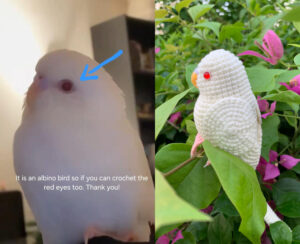 Custom Crocheted Albino Budgie Plush, Red-Eyed Parakeet