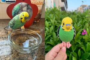 Custom Crochet Parakeet Keychain, Handmade Budgie Bird with Bell, Personalized Pet Keepsake