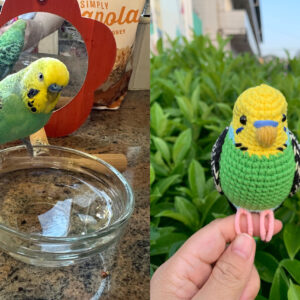 Custom Crochet Parakeet Keychain, Handmade Budgie Bird with Bell, Personalized Pet Keepsake