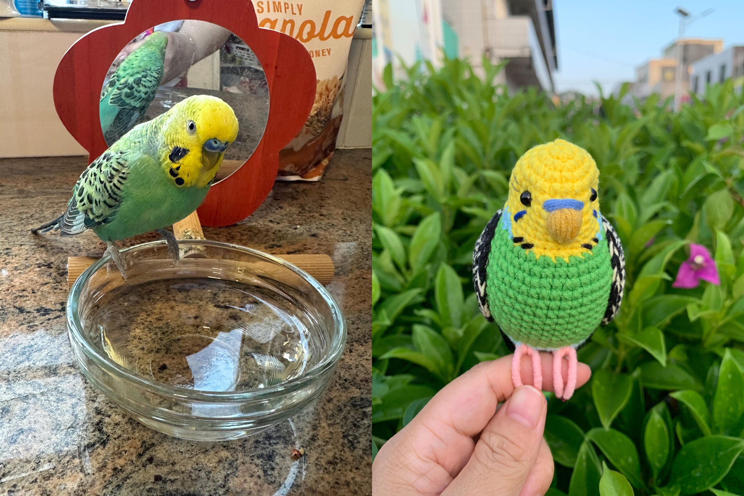 Custom Crochet Parakeet Keychain, Handmade Budgie Bird with Bell, Personalized Pet Keepsake