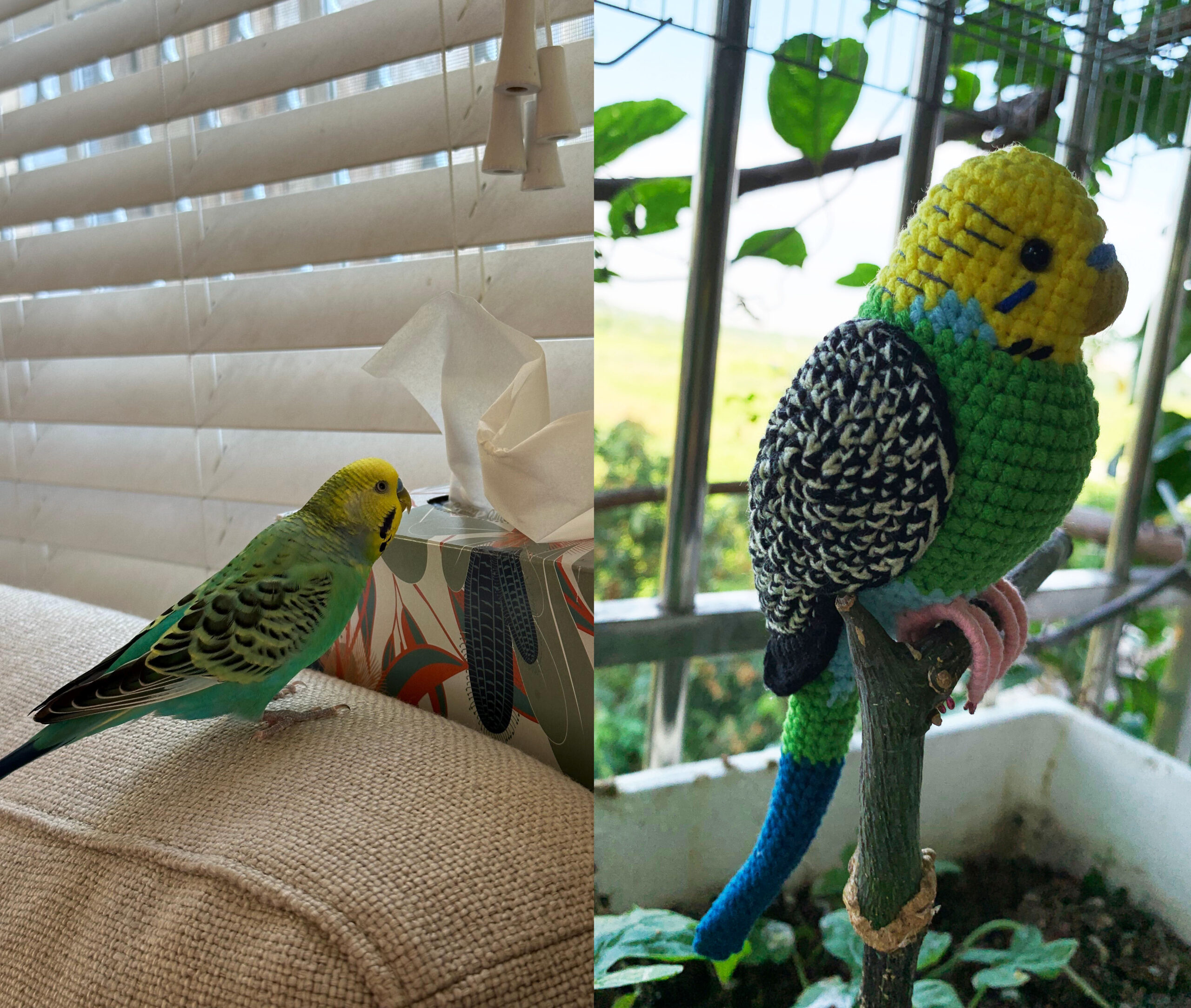 Custom Crochet Parakeet Keychain, Handmade Budgie Bird with Bell, Personalized Pet Keepsake - Image 5
