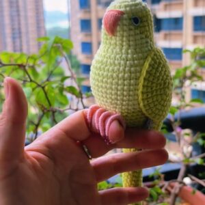 Custom Crochet Cinnamon Quaker Parrot – Handmade Monk Parakeet Plush, Small Keychain with Bell or Large Display, Personalized Pet Portrait