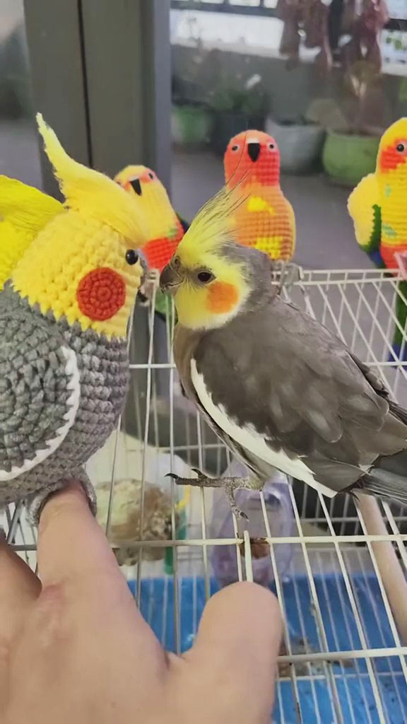Custom Pet Bird Replica – Handmade Crochet Portrait from Your Photo, Small & Large Sizes Available - Image 2