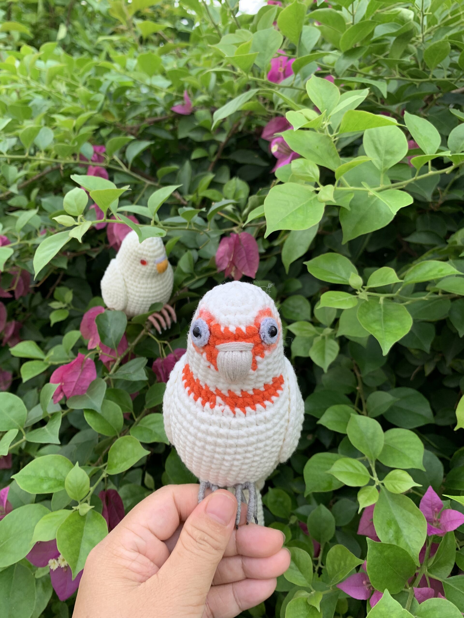 Custom Crochet Goffins Cockatoo, Realistic Corella Plush, Pet Portrait (Small/Large) - Image 2