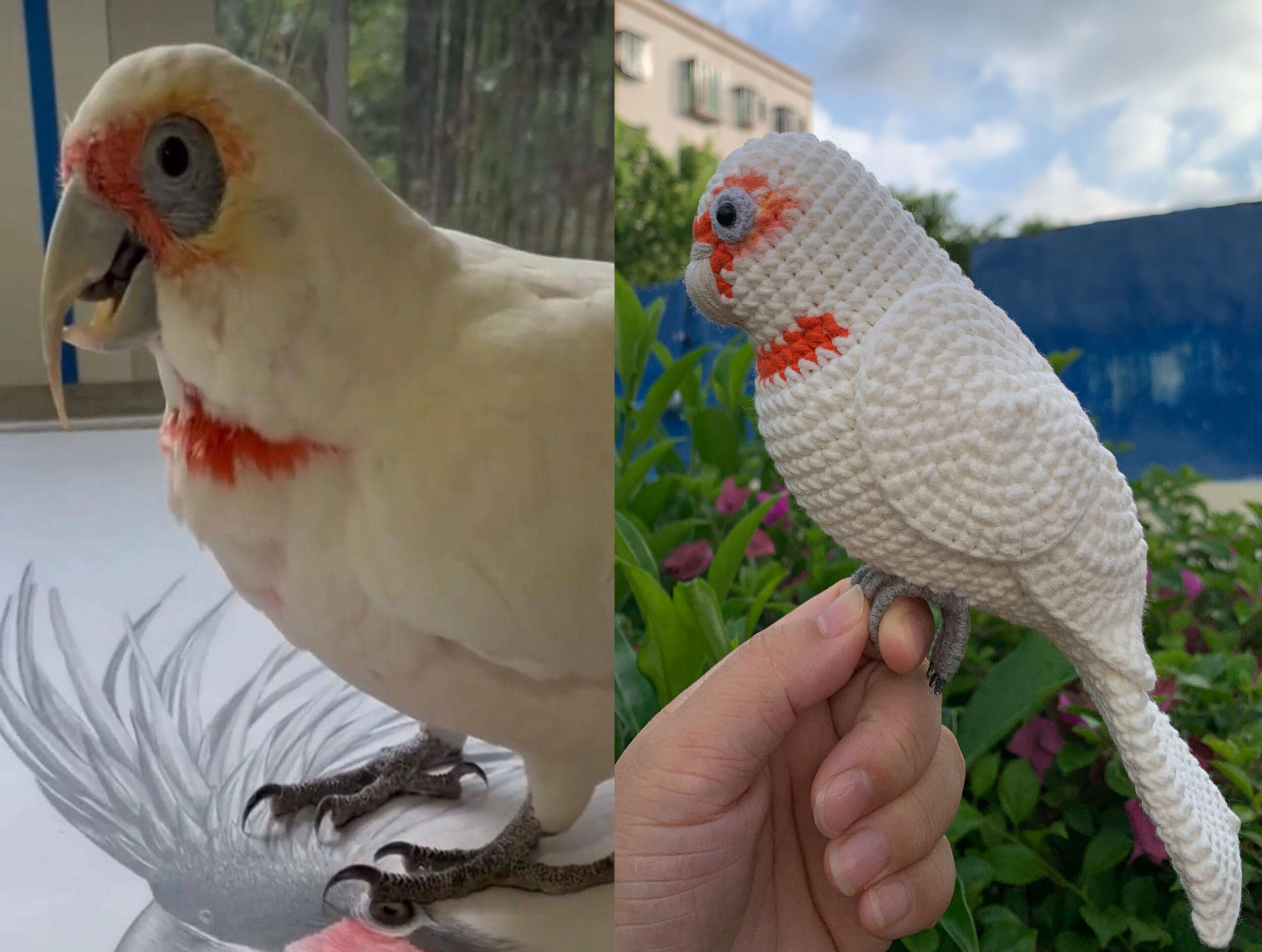 Custom Crochet Goffins Cockatoo, Realistic Corella Plush, Pet Portrait (Small/Large) - Image 3