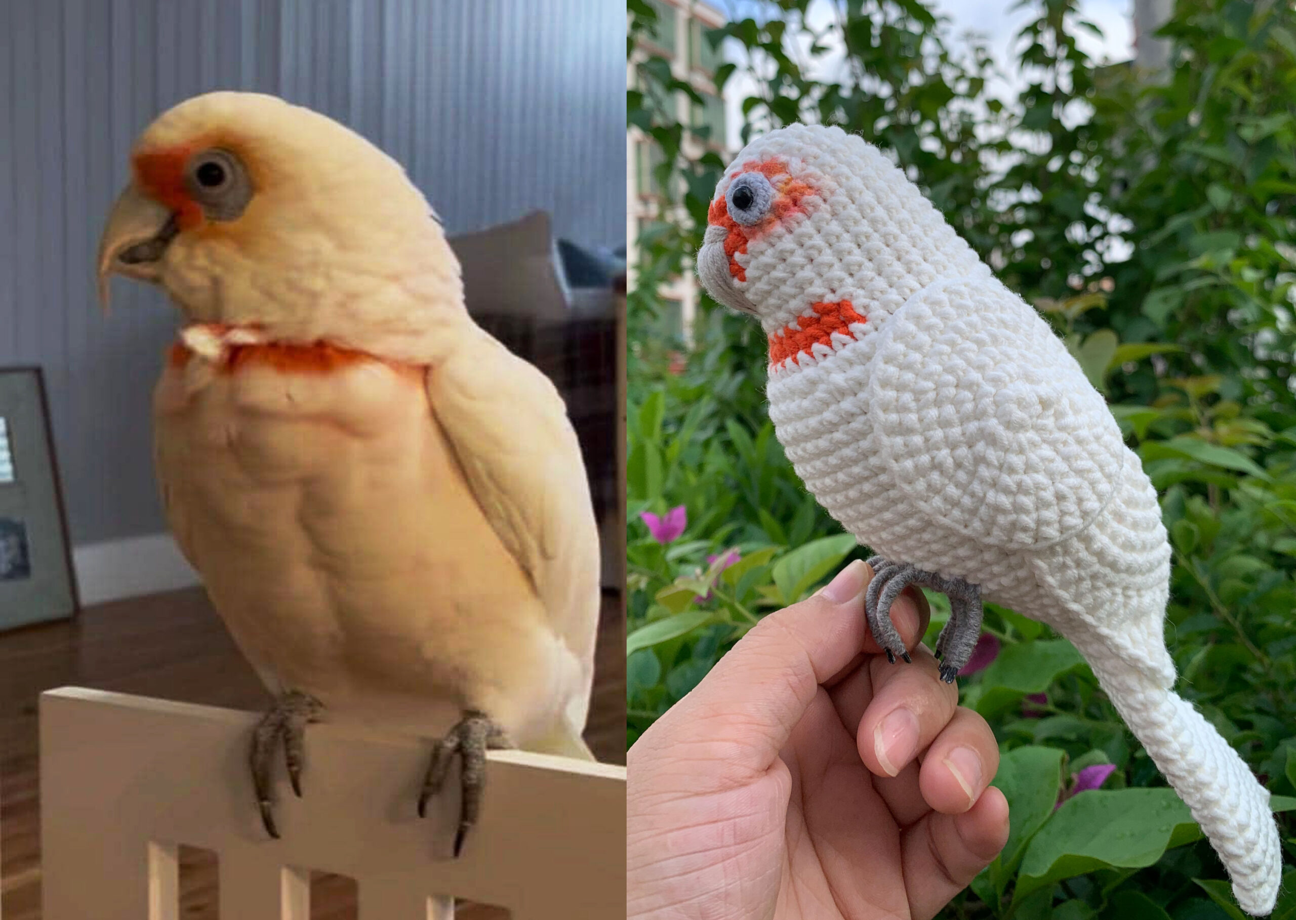 Custom Crochet Goffins Cockatoo, Realistic Corella Plush, Pet Portrait (Small/Large) - Image 5