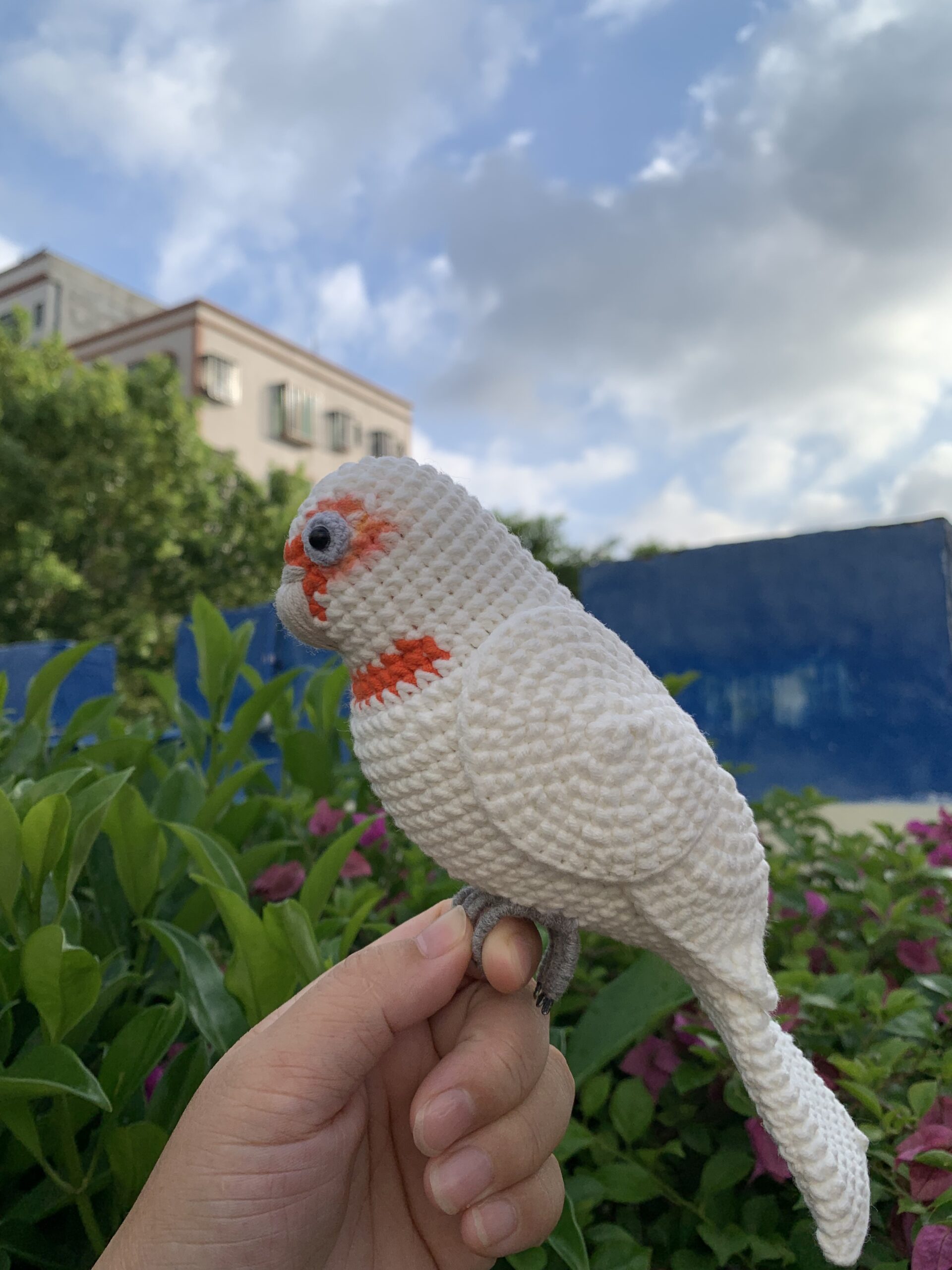 Custom Crochet Goffins Cockatoo, Realistic Corella Plush, Pet Portrait (Small/Large) - Image 6