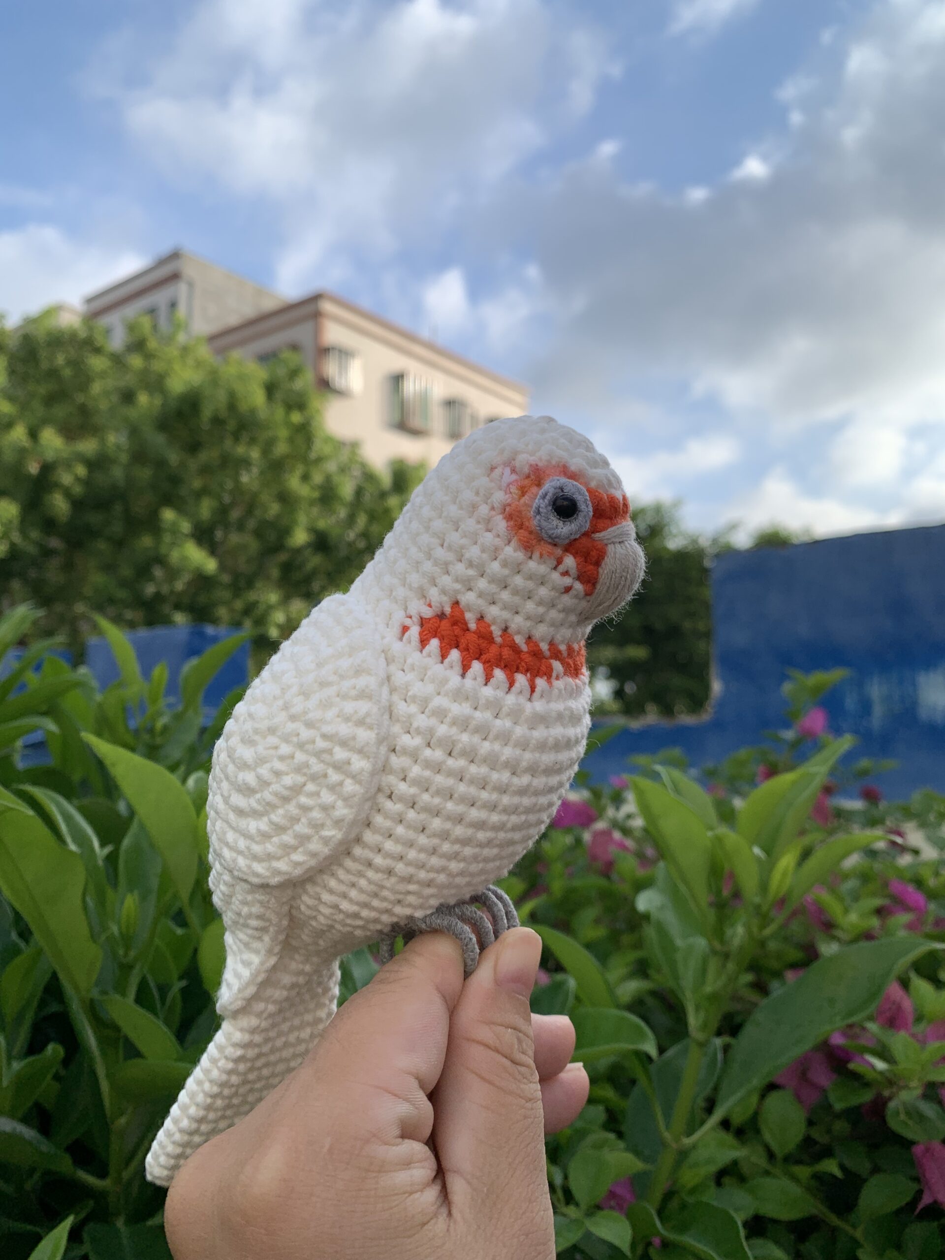 Custom Crochet Goffins Cockatoo, Realistic Corella Plush, Pet Portrait (Small/Large) - Image 7