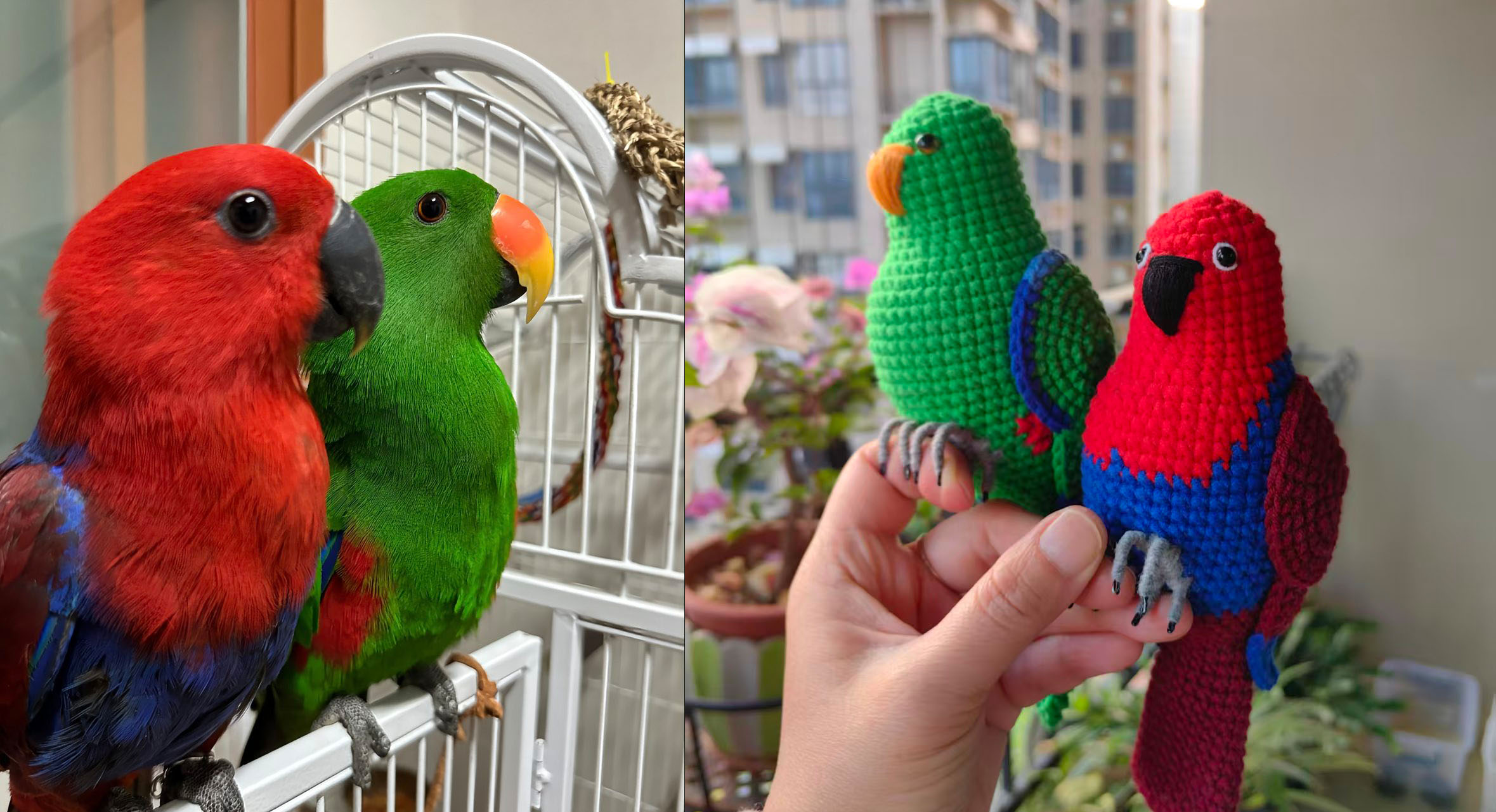 Handmade Crochet Eclectus Parrot Figurine, Realistic Bird Plush, Desktop Decor - Image 4