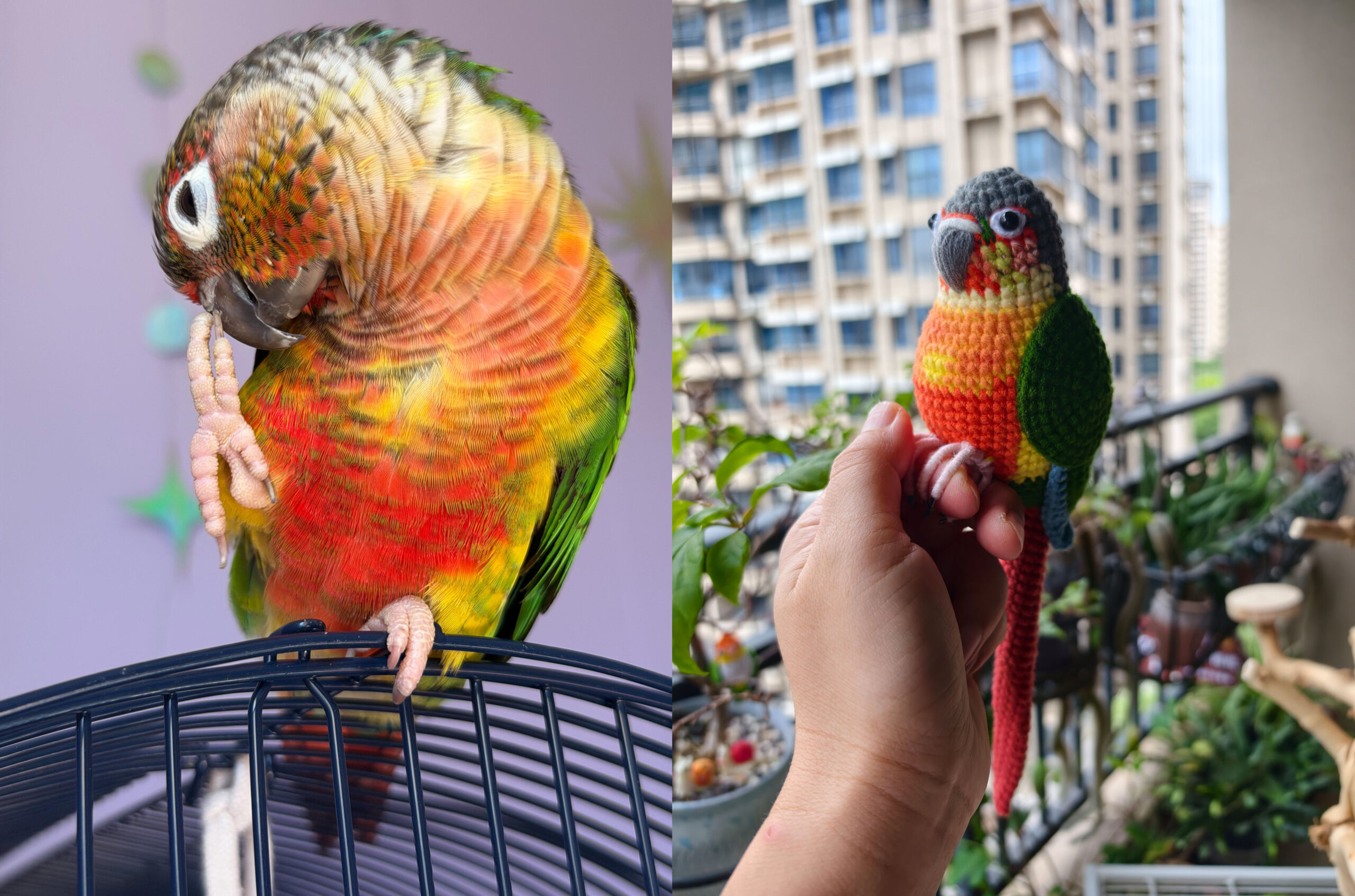 Custom Crochet Green Cheek Conure Figurine, Realistic Pet Portrait, Pineapple Parrot Toy (Small/Large) - Image 4