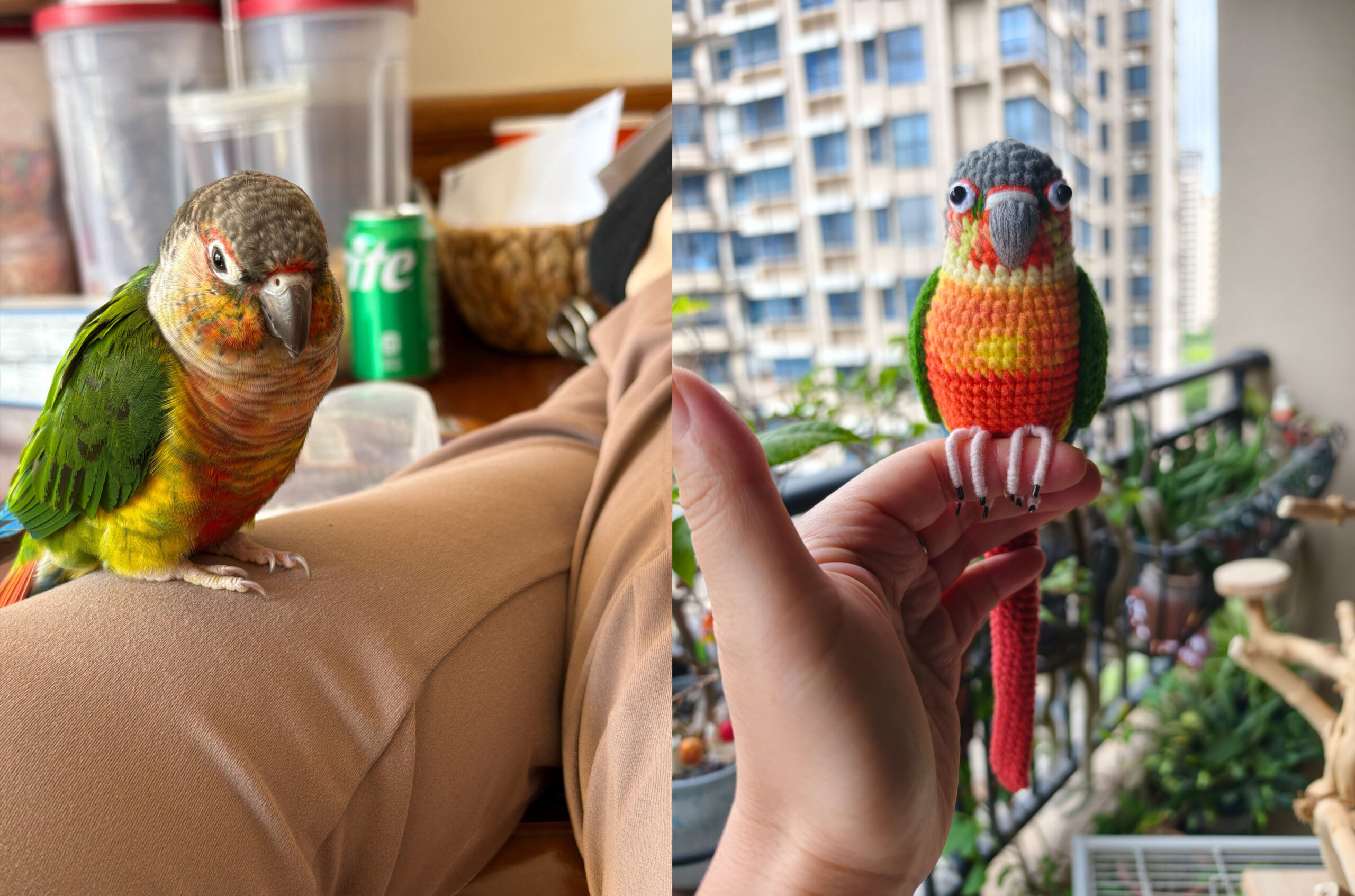 Custom Crochet Green Cheek Conure Figurine, Realistic Pet Portrait, Pineapple Parrot Toy (Small/Large) - Image 5