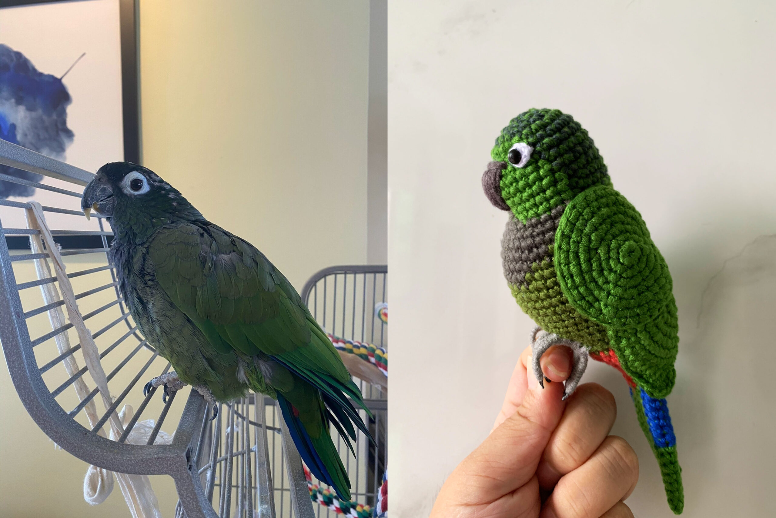 Custom Crochet Green Cheek Conure Parrot, Photo Memorial Keepsake, Handmade Bird Figurine - Image 2