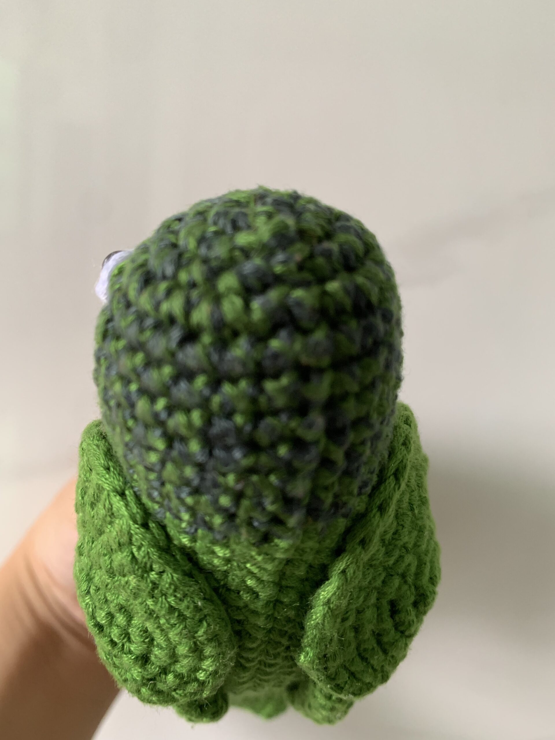 Custom Crochet Green Cheek Conure Parrot, Photo Memorial Keepsake, Handmade Bird Figurine - Image 11