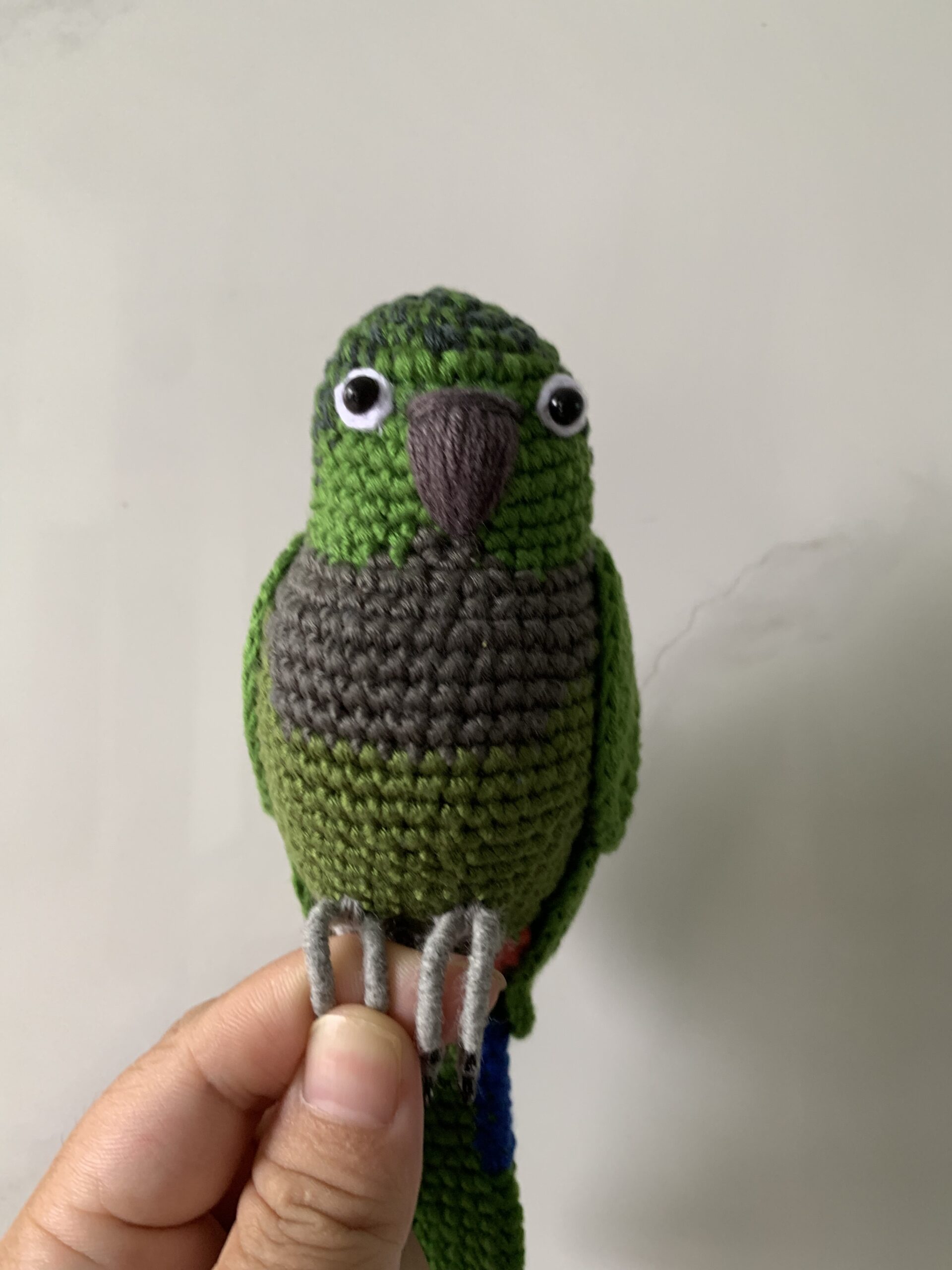 Custom Crochet Green Cheek Conure Parrot, Photo Memorial Keepsake, Handmade Bird Figurine - Image 14