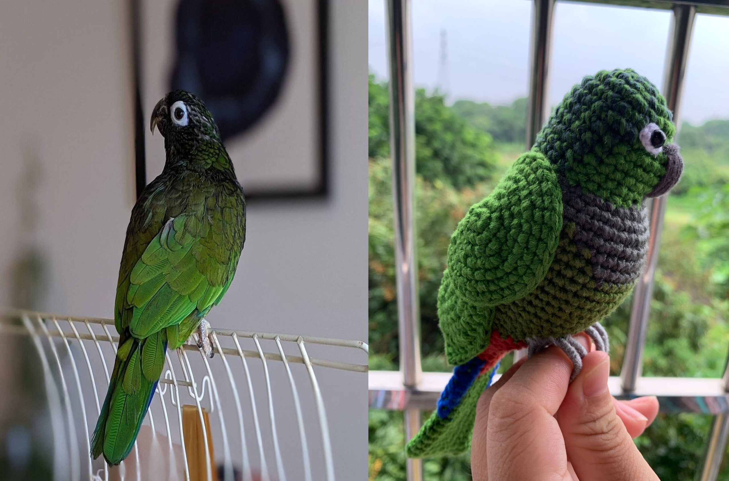 Custom Crochet Green Cheek Conure Parrot, Photo Memorial Keepsake, Handmade Bird Figurine - Image 3