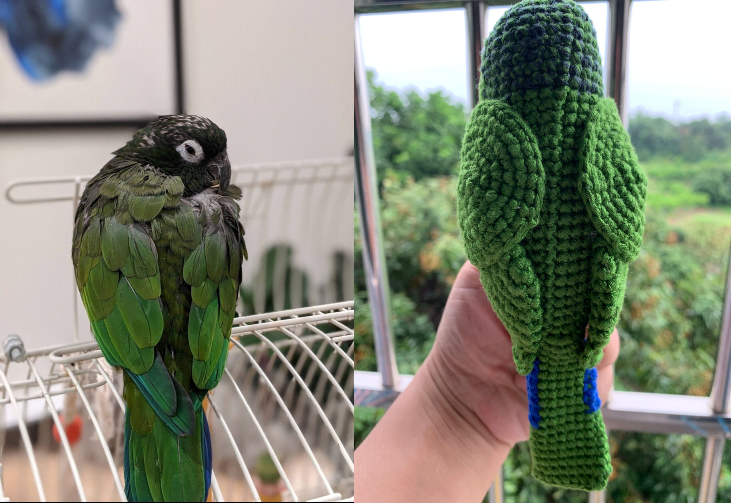 Custom Crochet Green Cheek Conure Parrot, Photo Memorial Keepsake, Handmade Bird Figurine - Image 5