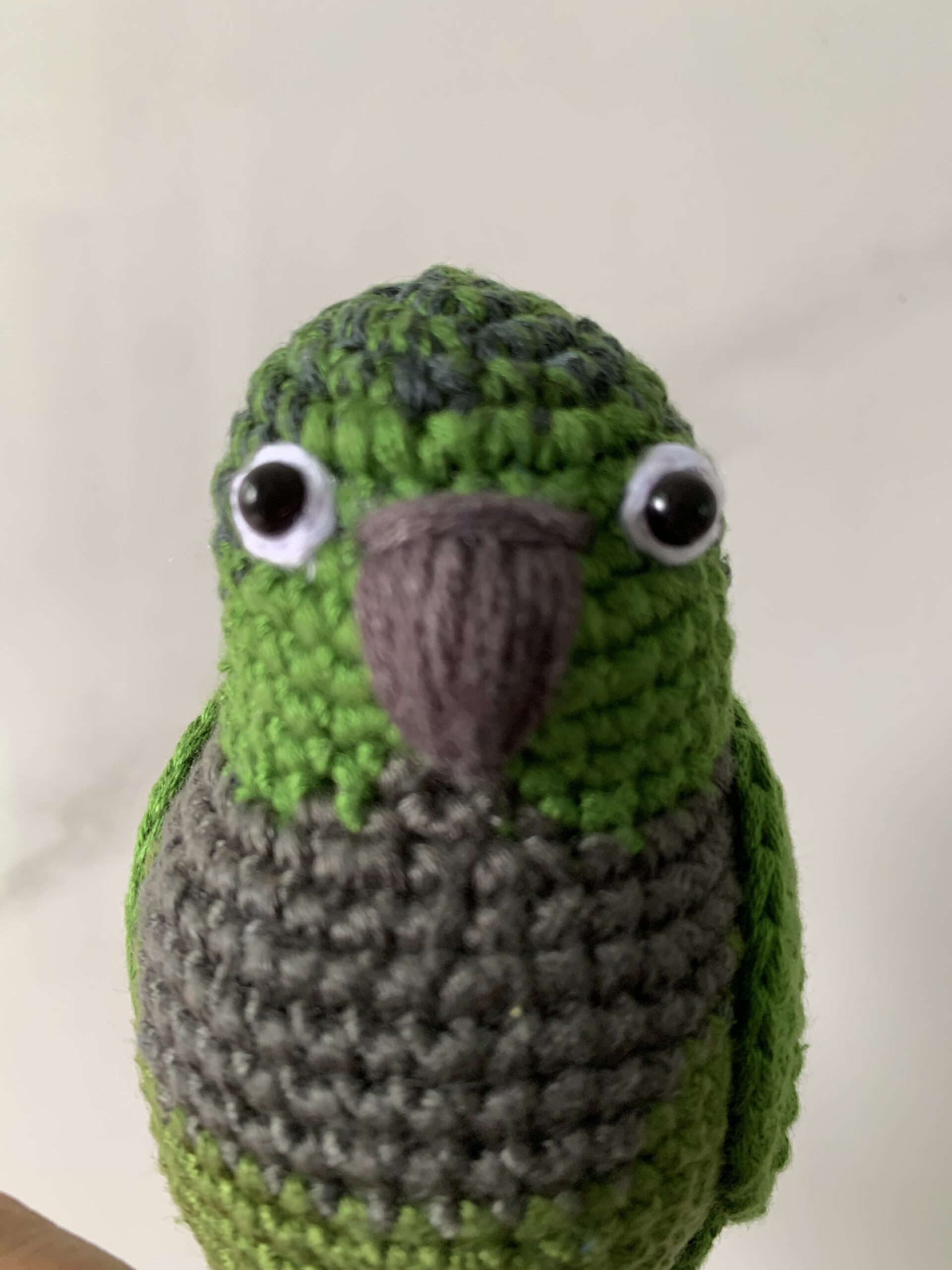 Custom Crochet Green Cheek Conure Parrot, Photo Memorial Keepsake, Handmade Bird Figurine - Image 10