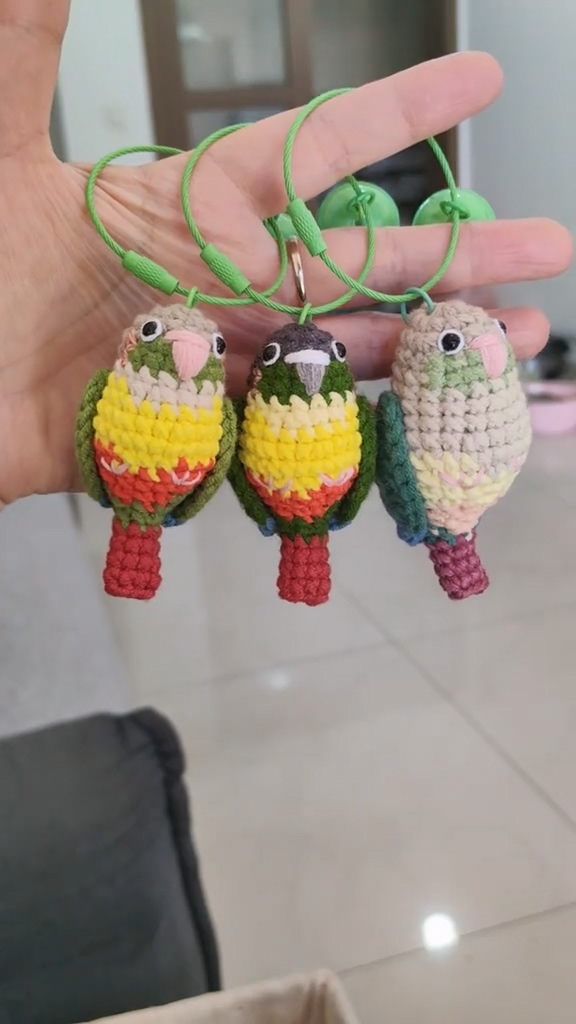 Custom Crochet Pineapple Conure – Handmade Green Cheek Plush, Small Keychain or Large Display, Personalized Pet Bird Portrait - Image 3