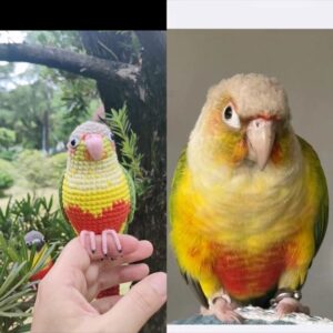 Custom Crochet Pineapple Conure – Handmade Green Cheek Plush, Small Keychain or Large Display, Personalized Pet Bird Portrait