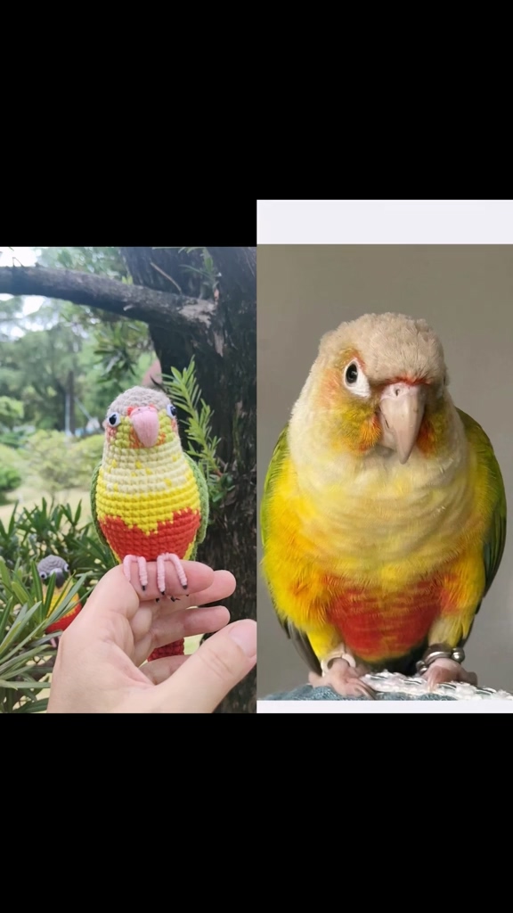 Custom Crochet Pineapple Conure – Handmade Green Cheek Plush, Small Keychain or Large Display, Personalized Pet Bird Portrait