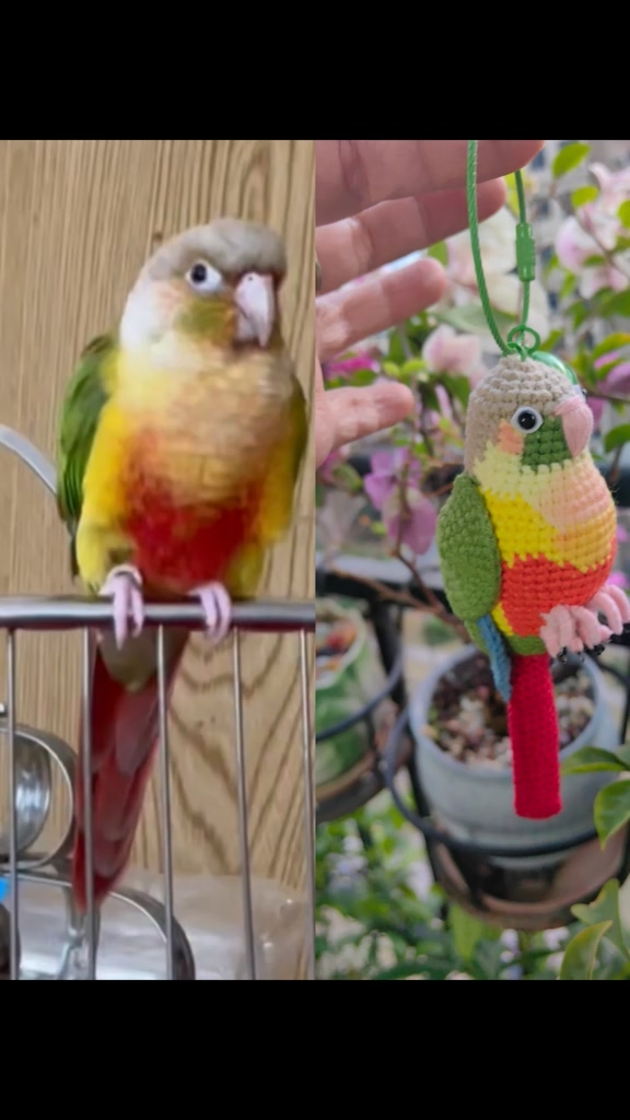 Custom Crochet Pineapple Conure – Handmade Green Cheek Plush, Small Keychain or Large Display, Personalized Pet Bird Portrait - Image 6