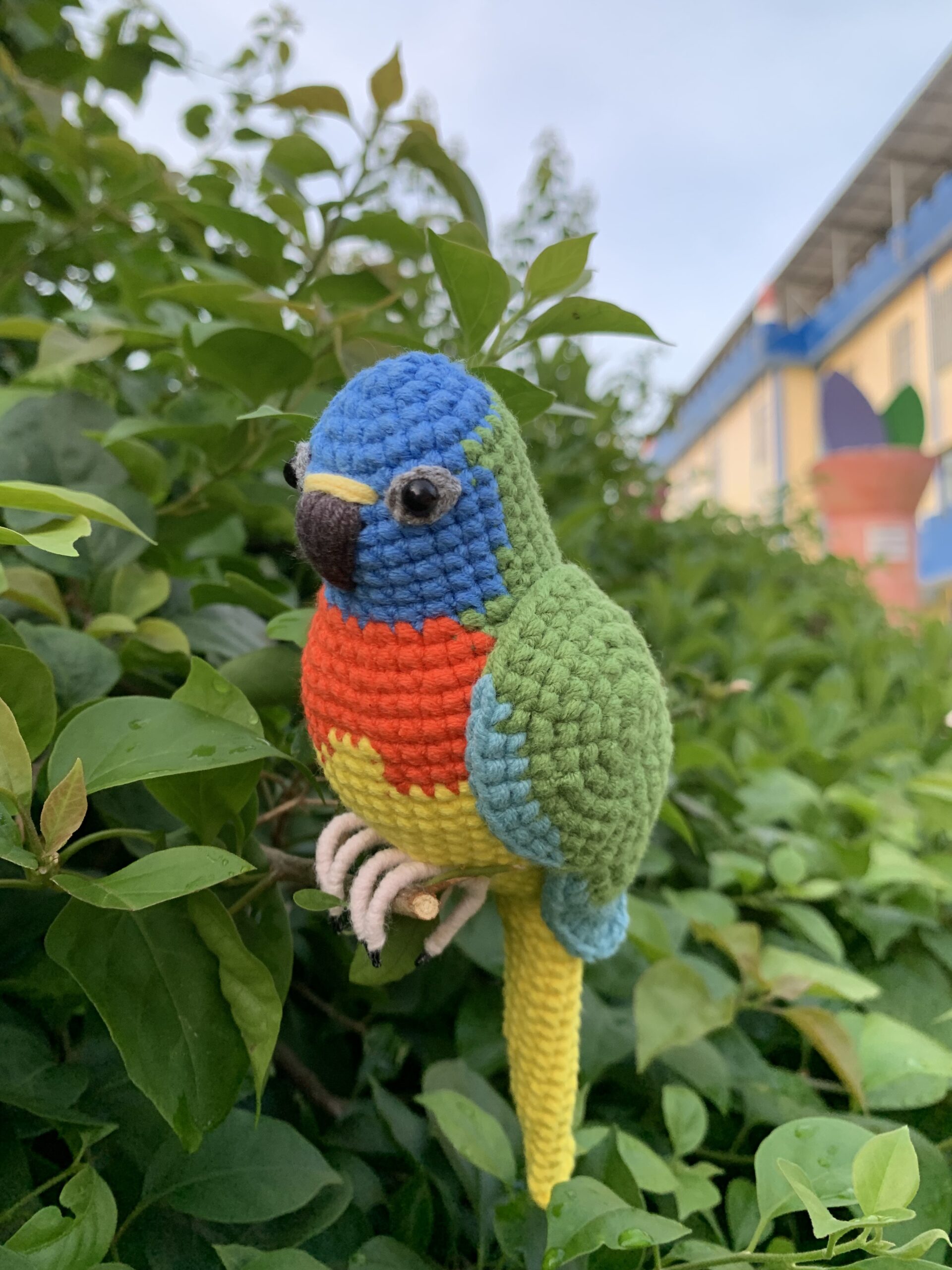 Custom Crocheted Eclectus Parrot Plush, Realistic Pet Portrait Toy (Small/Large) - Image 7