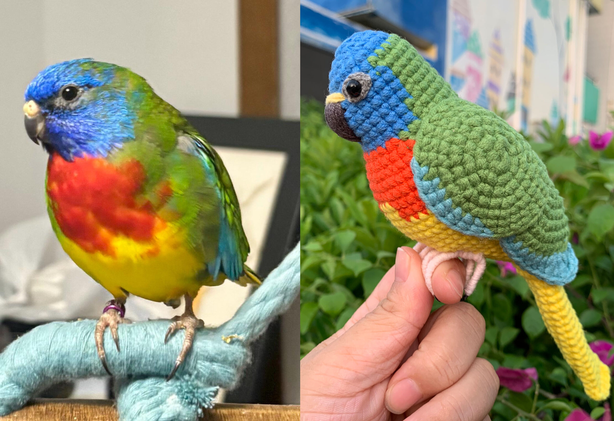 Custom Crocheted Eclectus Parrot Plush, Realistic Pet Portrait Toy (Small/Large) - Image 4