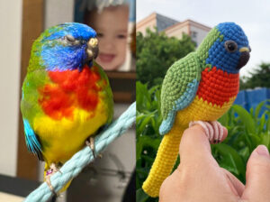 Custom Crocheted Eclectus Parrot Plush, Realistic Pet Portrait Toy (Small/Large)