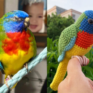 Custom Crocheted Eclectus Parrot Plush, Realistic Pet Portrait Toy (Small/Large)