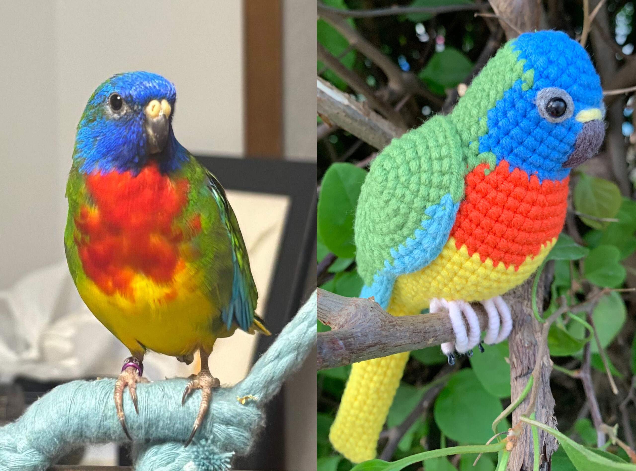Custom Crocheted Eclectus Parrot Plush, Realistic Pet Portrait Toy (Small/Large) - Image 5