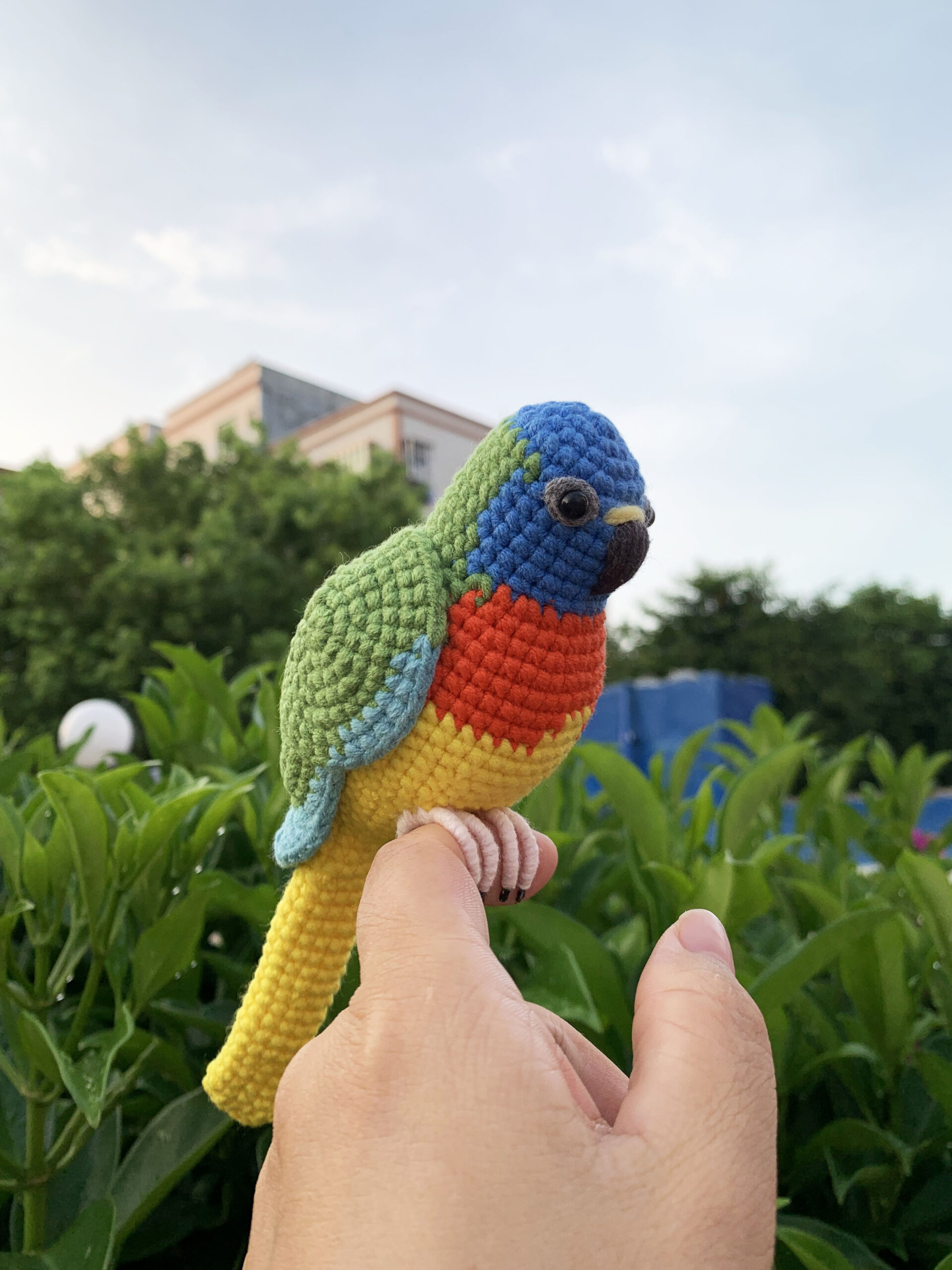 Custom Crocheted Eclectus Parrot Plush, Realistic Pet Portrait Toy (Small/Large) - Image 6