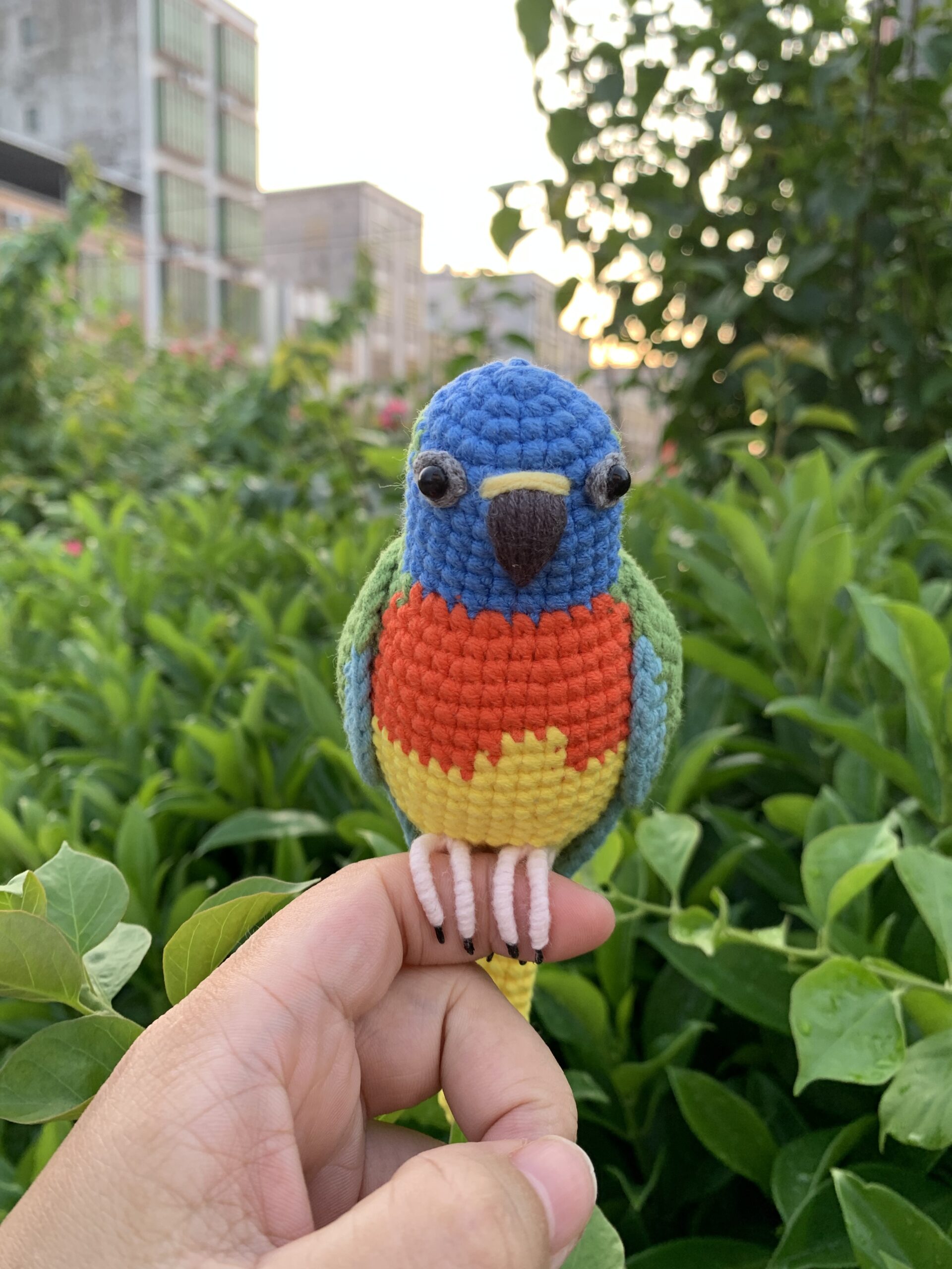 Custom Crocheted Eclectus Parrot Plush, Realistic Pet Portrait Toy (Small/Large) - Image 9