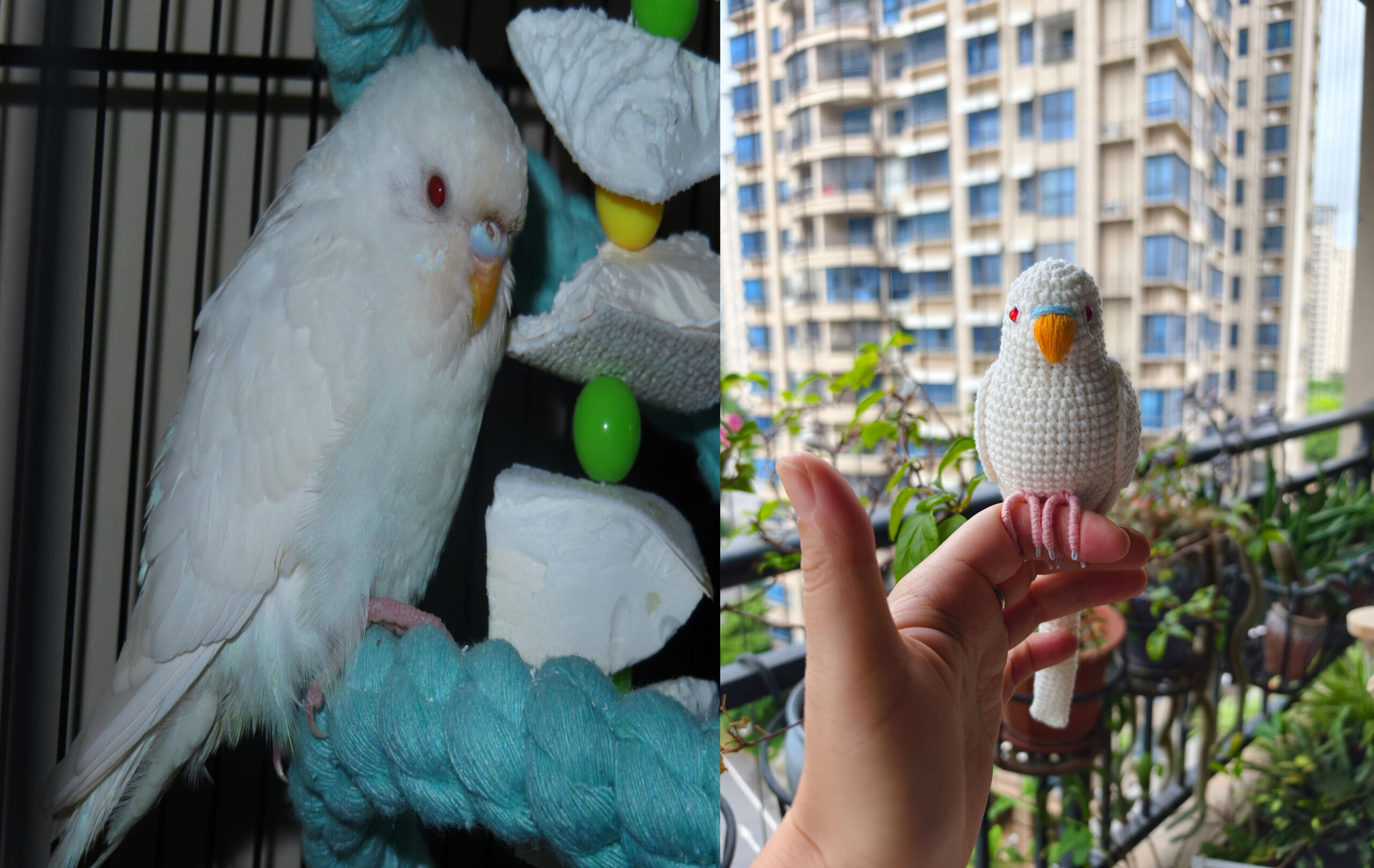 Custom Crochet White Budgie Figurine, Personalized Bird Memorial Keepsake - Image 3