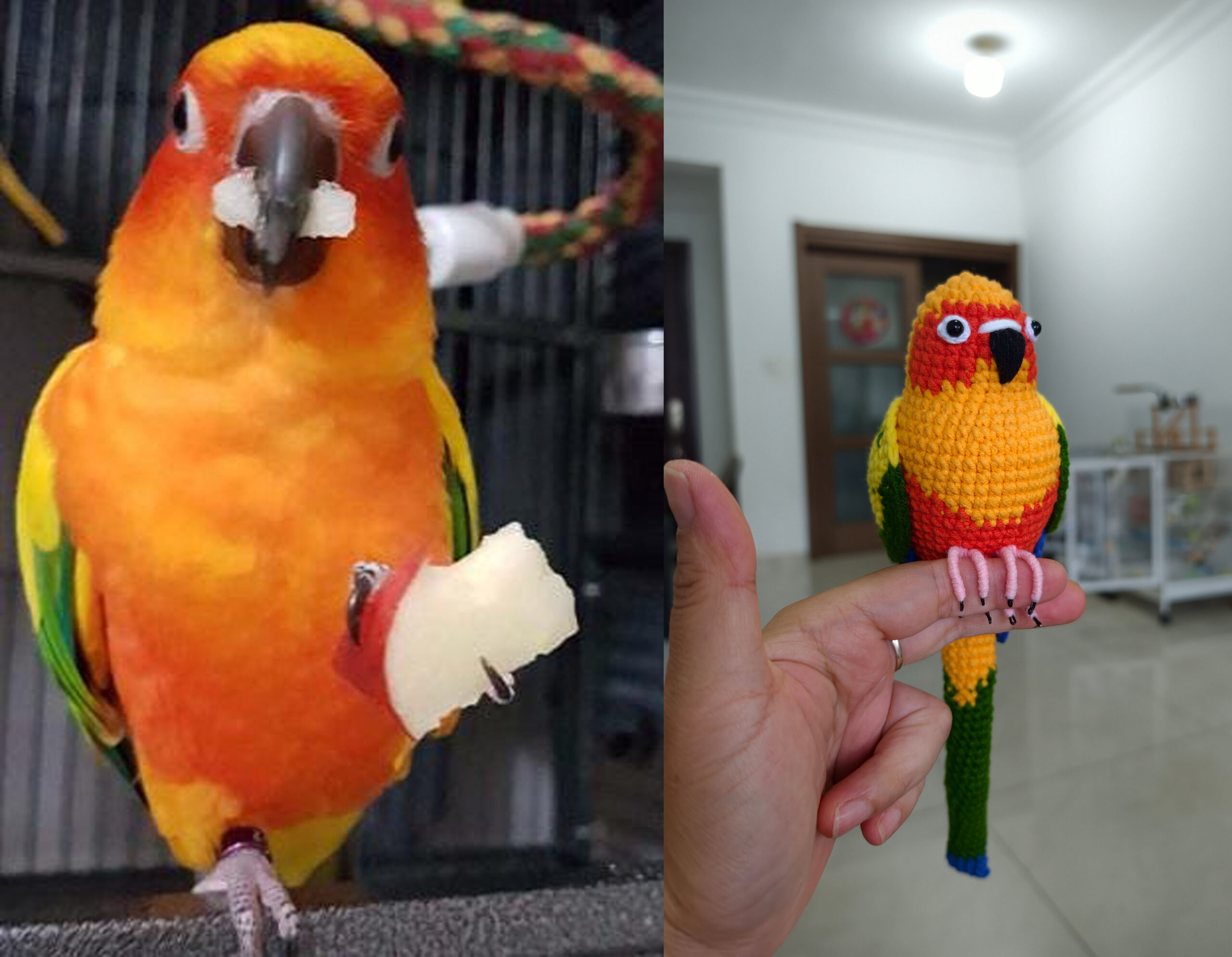 Custom Crochet Sun Conure Sculpture, Handmade Parrot Portrait (Small or Large) - Image 3