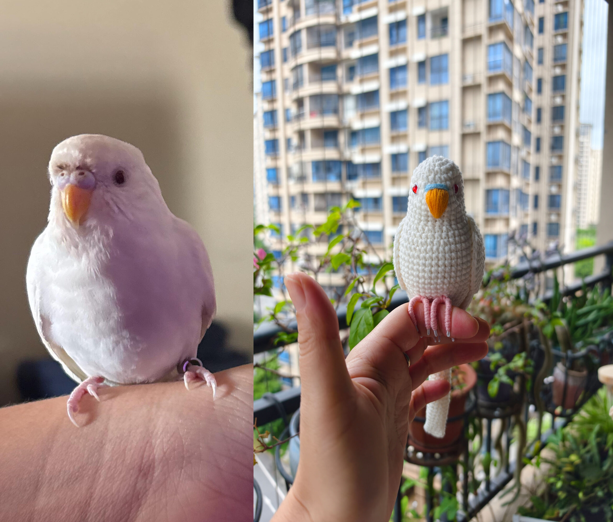 Custom Crochet White Budgie Figurine, Personalized Bird Memorial Keepsake