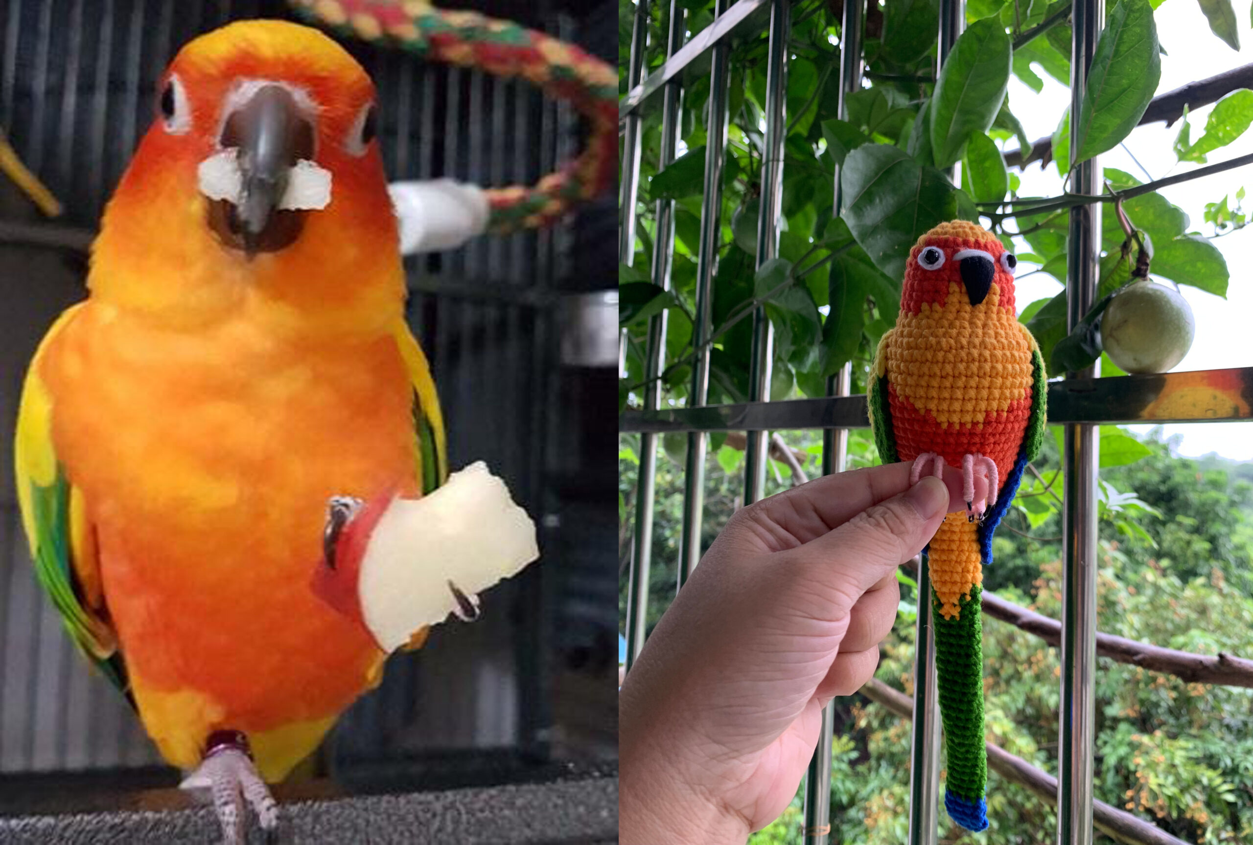 Custom Crochet Sun Conure Sculpture, Handmade Parrot Portrait (Small or Large) - Image 4