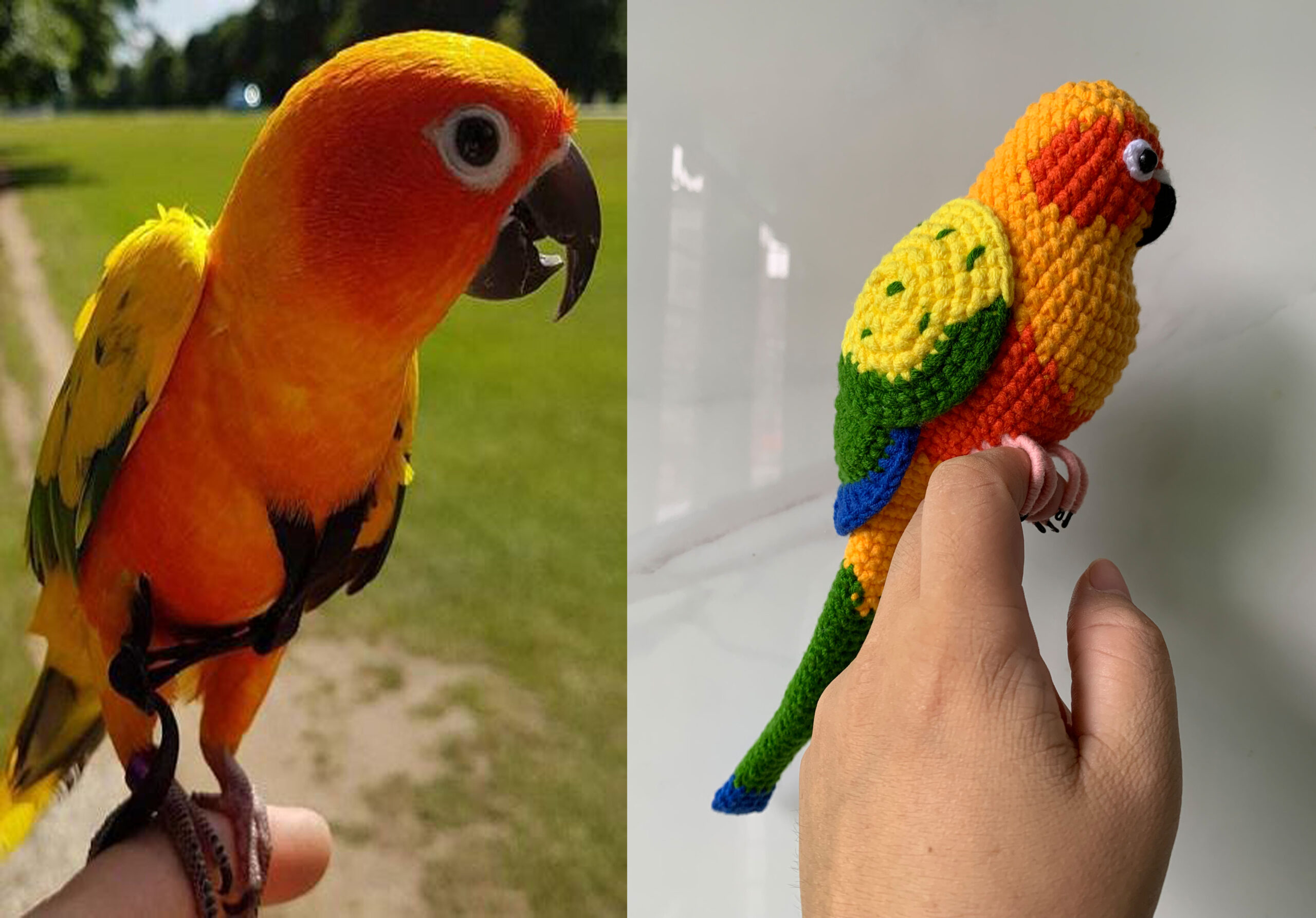 Custom Crochet Sun Conure Sculpture, Handmade Parrot Portrait (Small or Large) - Image 5