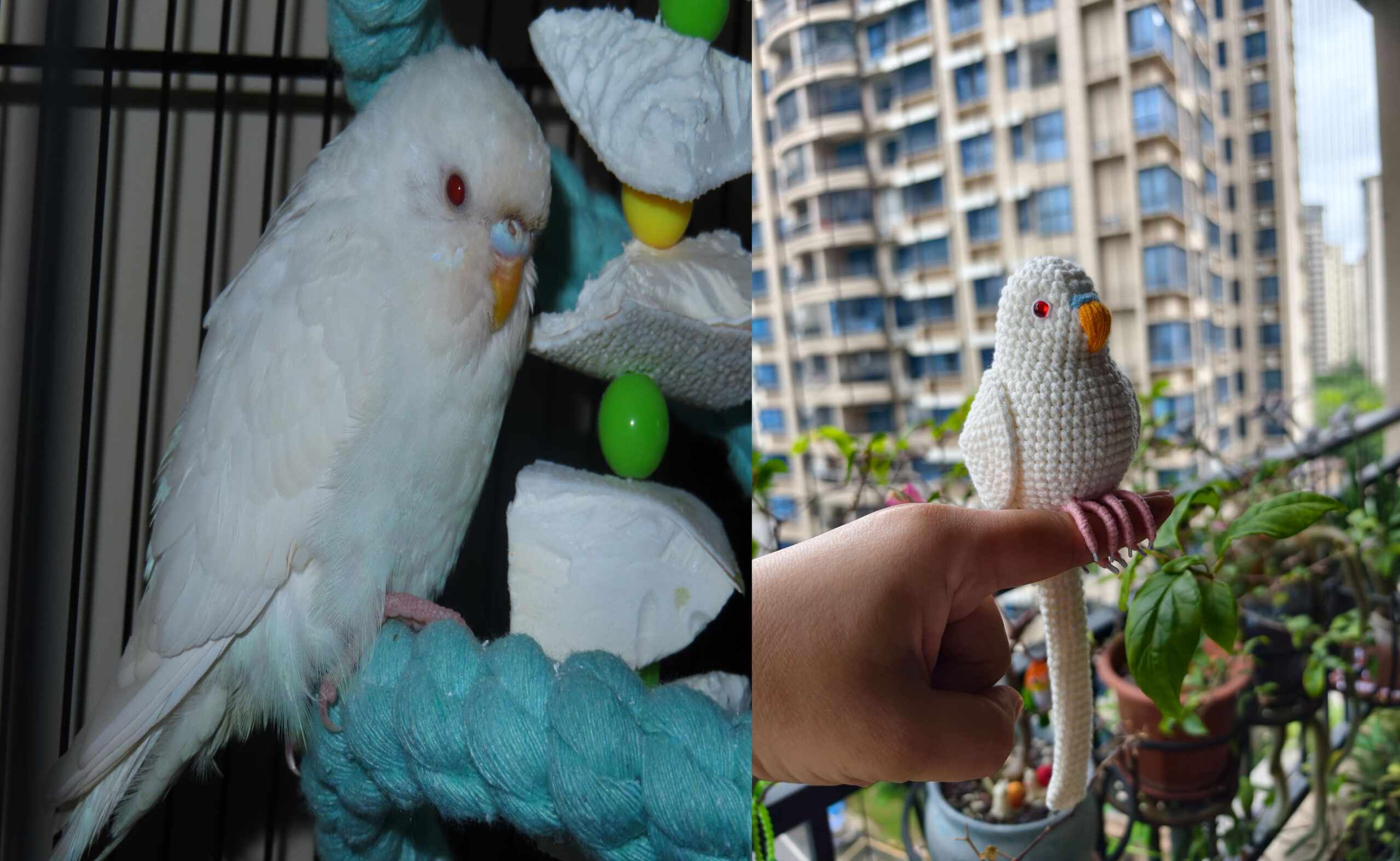 Custom Crochet White Budgie Figurine, Personalized Bird Memorial Keepsake - Image 6