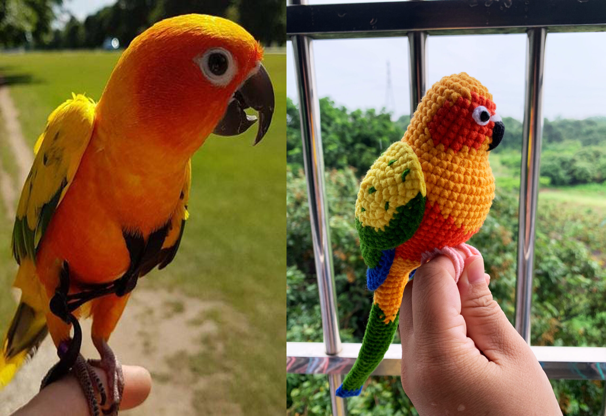 Custom Crochet Sun Conure Sculpture, Handmade Parrot Portrait (Small or Large)