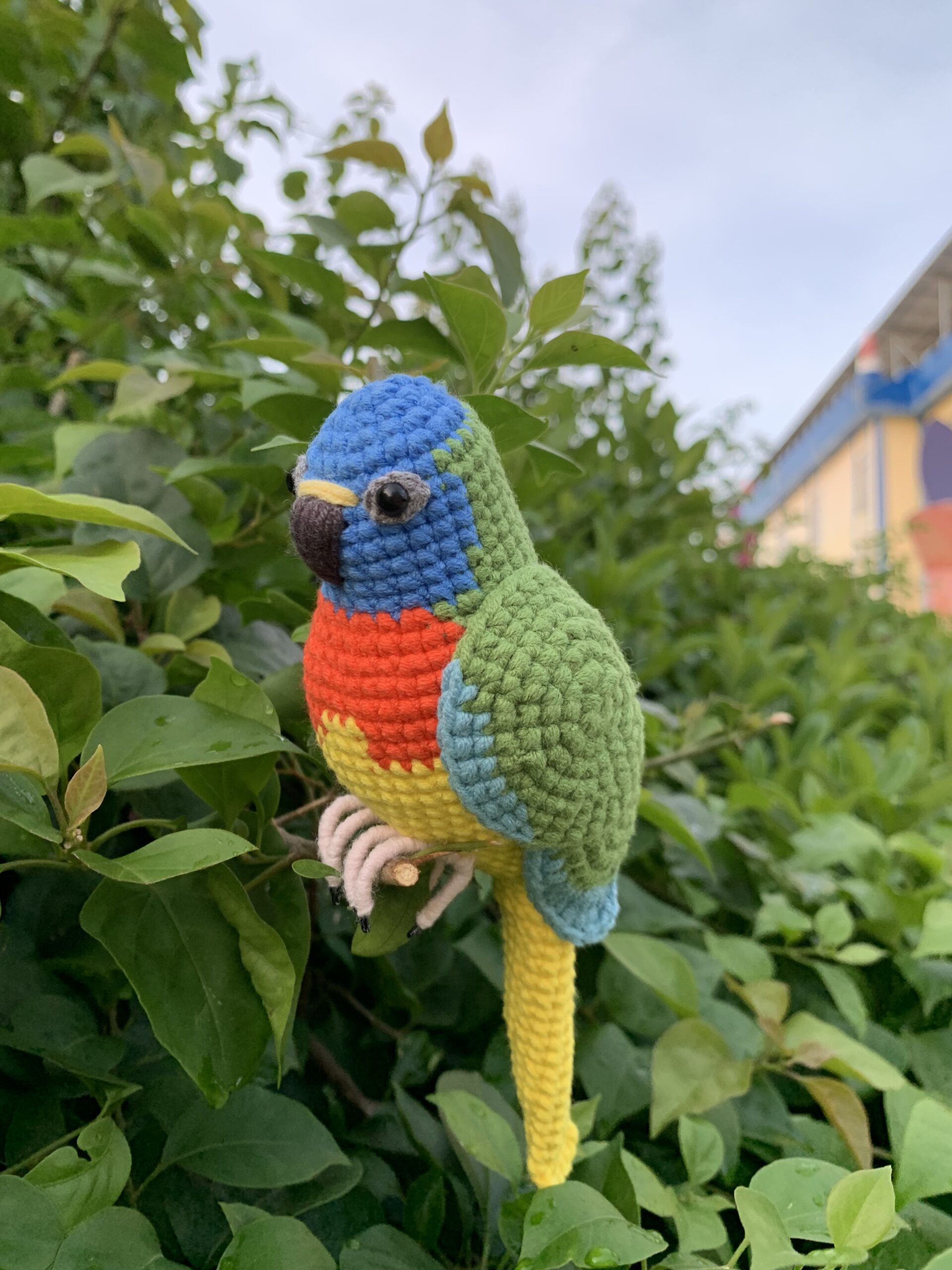Custom Crocheted Eclectus Parrot Plush, Realistic Pet Portrait Toy (Small/Large) - Image 12