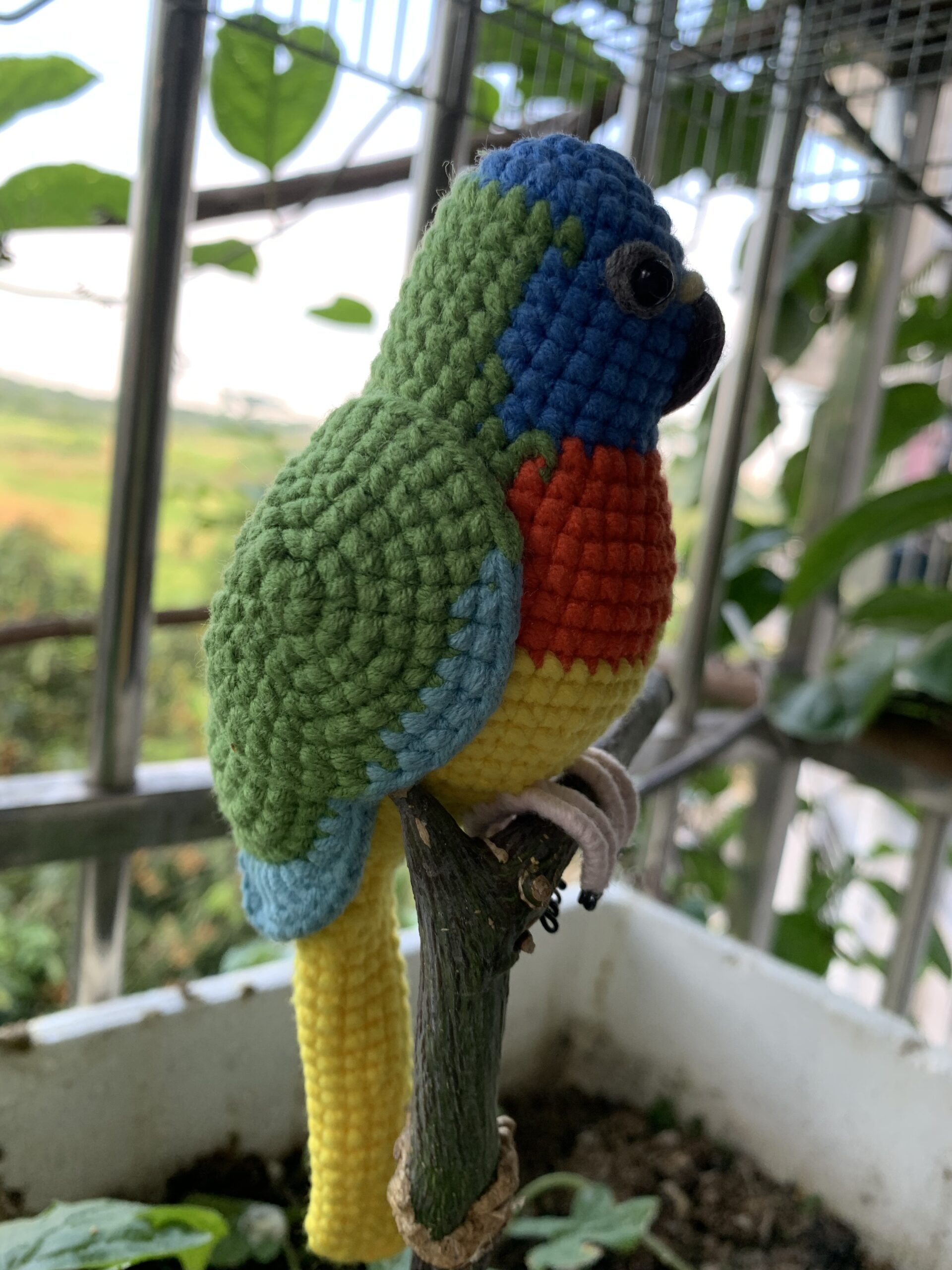 Custom Crocheted Eclectus Parrot Plush, Realistic Pet Portrait Toy (Small/Large) - Image 13