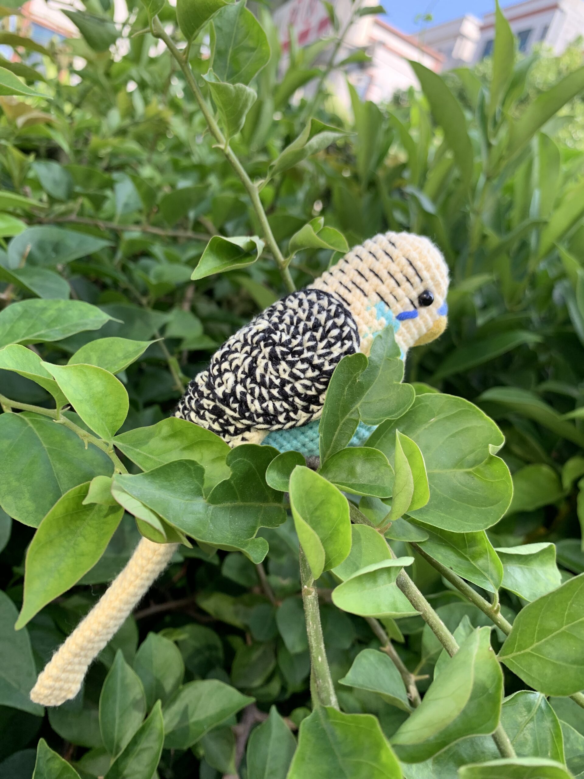 Custom Crocheted Budgie Figurine, Photo Replica Parakeet Sculpture, Bird Lover Keepsake - Image 4