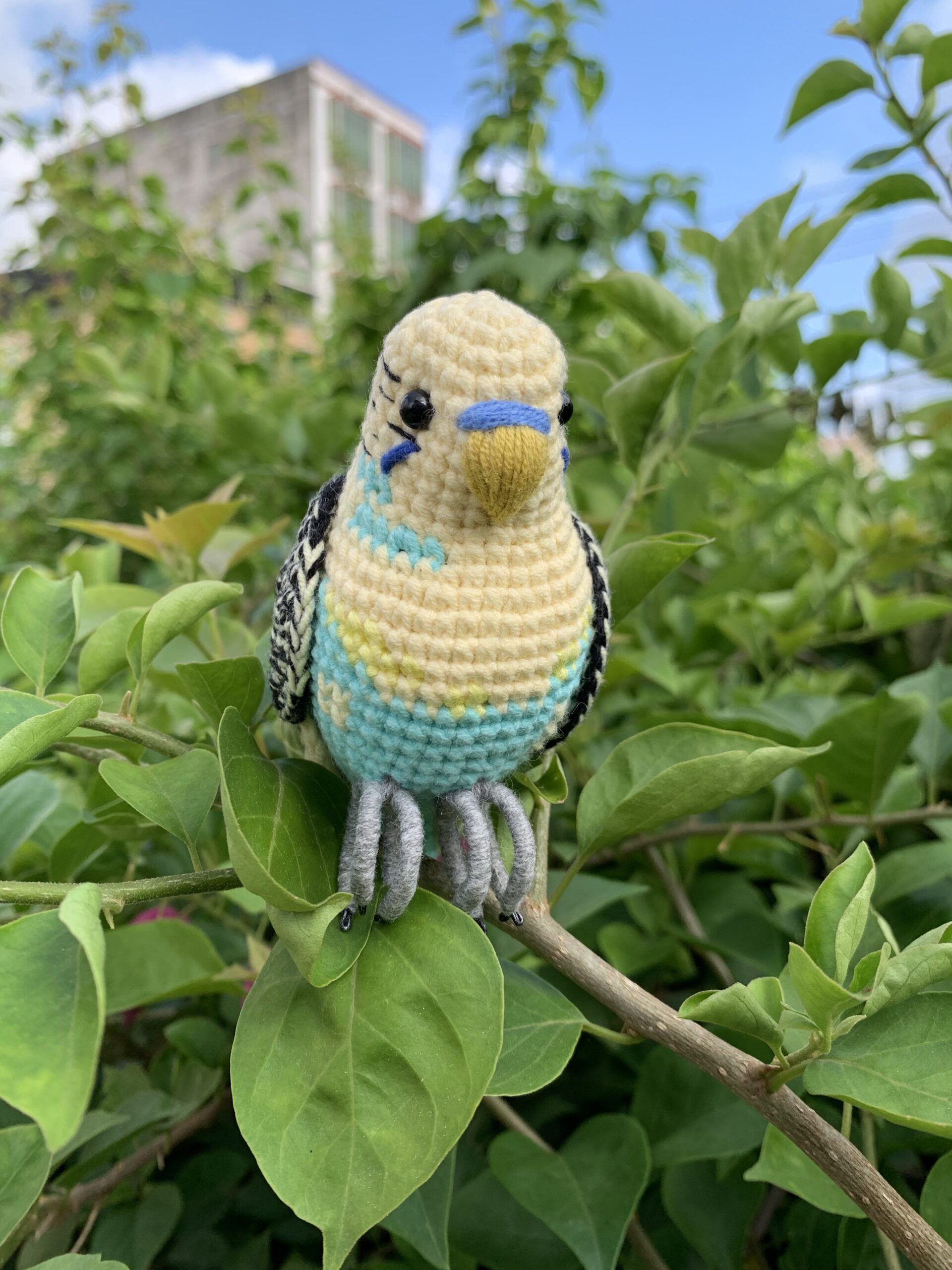 Custom Crocheted Budgie Figurine, Photo Replica Parakeet Sculpture, Bird Lover Keepsake - Image 16