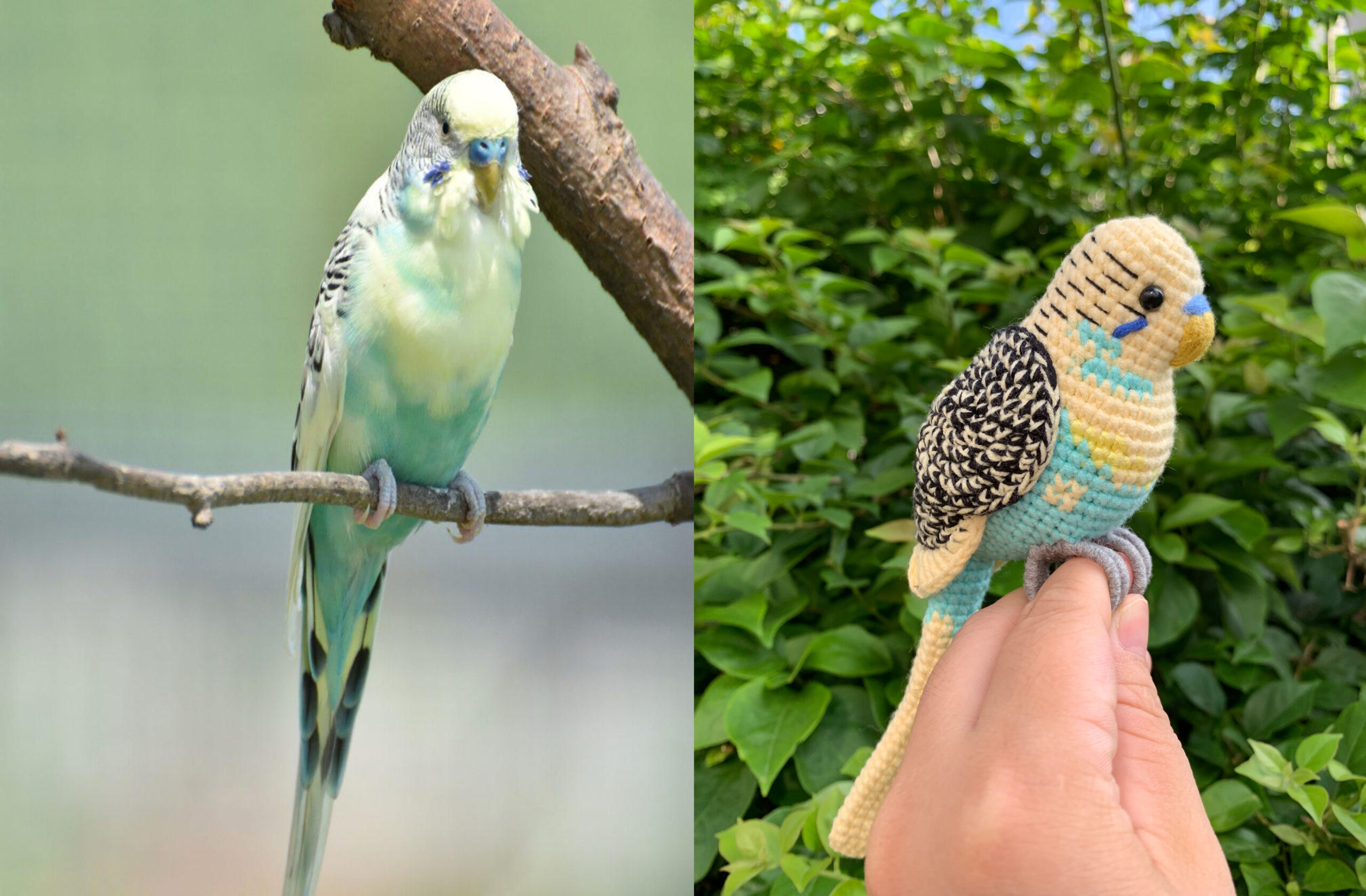 Custom Crocheted Budgie Figurine, Photo Replica Parakeet Sculpture, Bird Lover Keepsake - Image 7