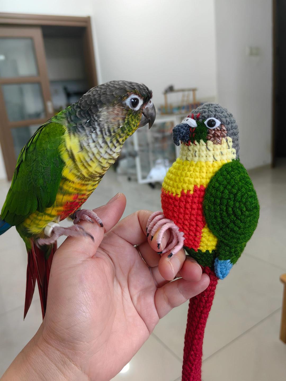 Custom Pet Bird Replica – Handmade Crochet Portrait from Your Photo, Small & Large Sizes Available - Image 6