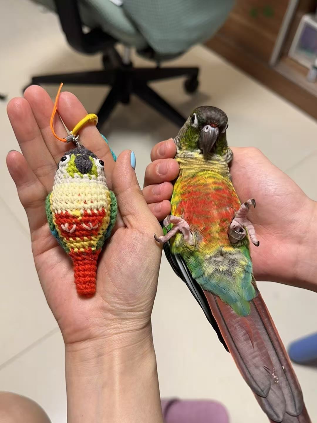Custom Pet Bird Replica – Handmade Crochet Portrait from Your Photo, Small & Large Sizes Available - Image 18