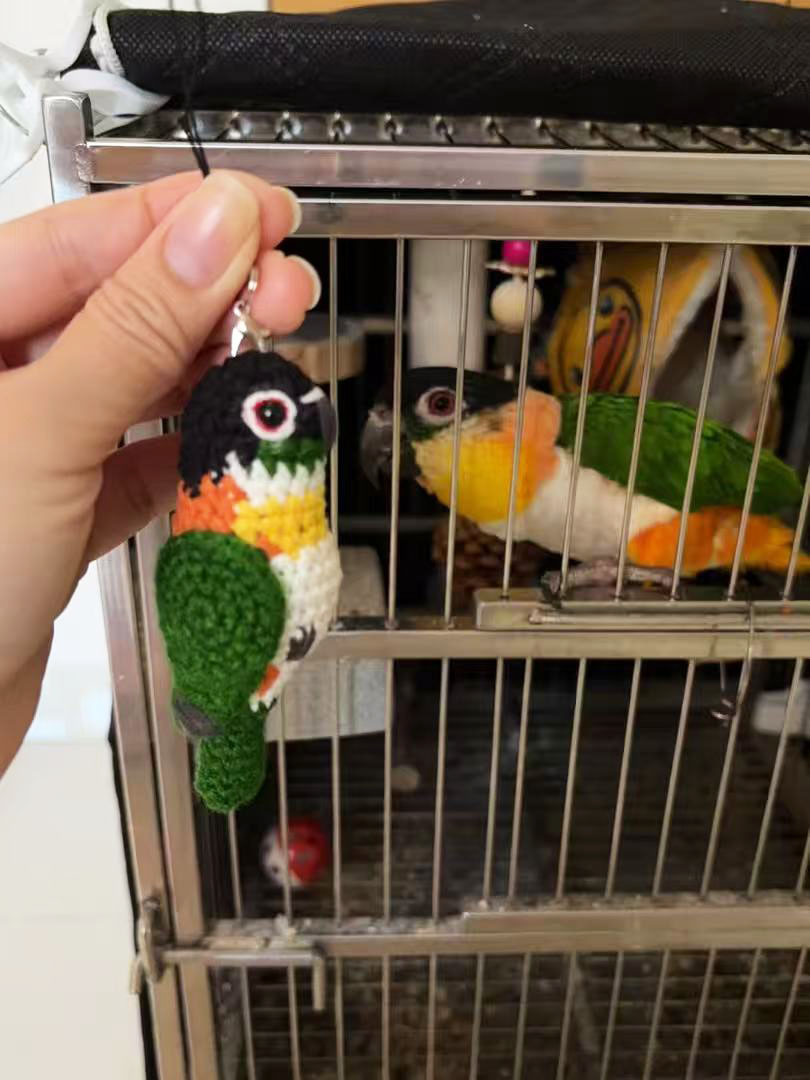 Custom Pet Bird Replica – Handmade Crochet Portrait from Your Photo, Small & Large Sizes Available - Image 17