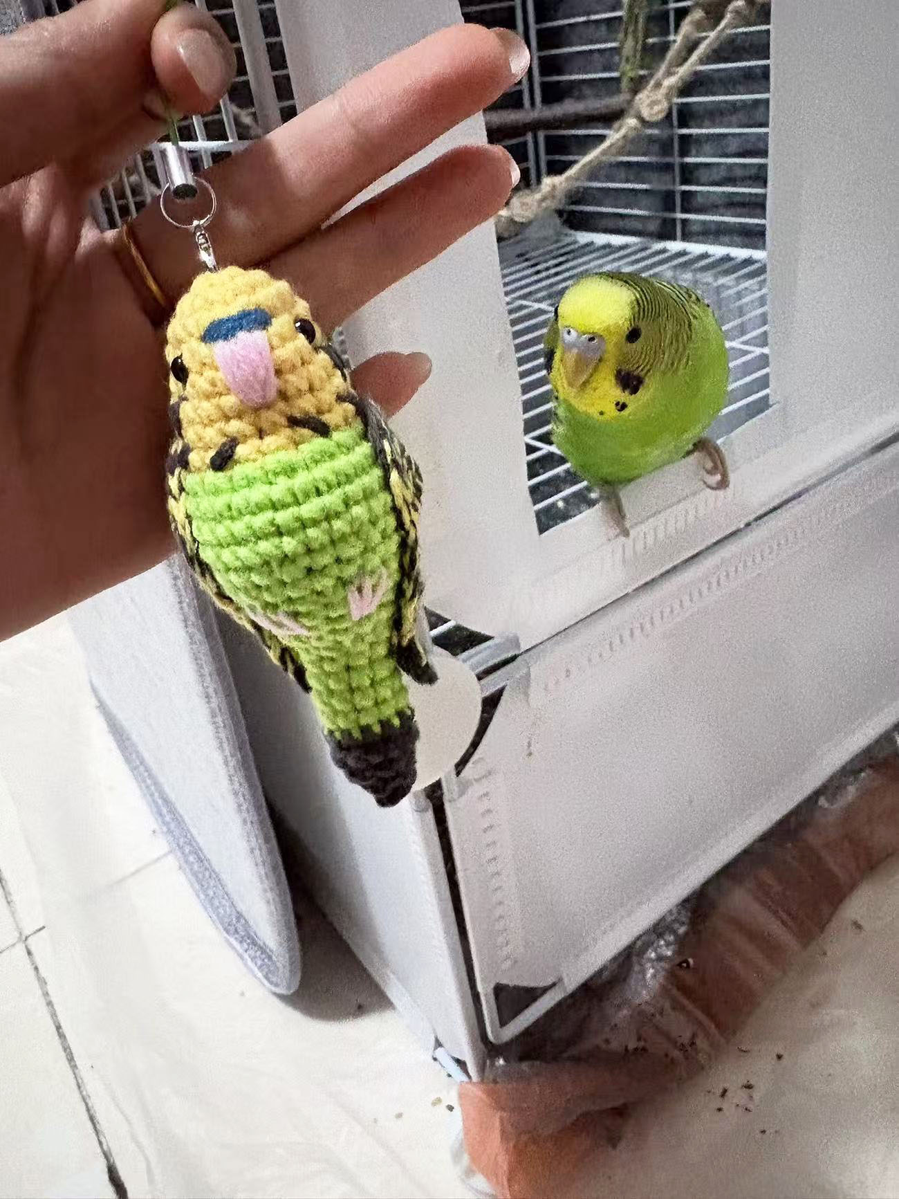 Custom Pet Bird Replica – Handmade Crochet Portrait from Your Photo, Small & Large Sizes Available - Image 15